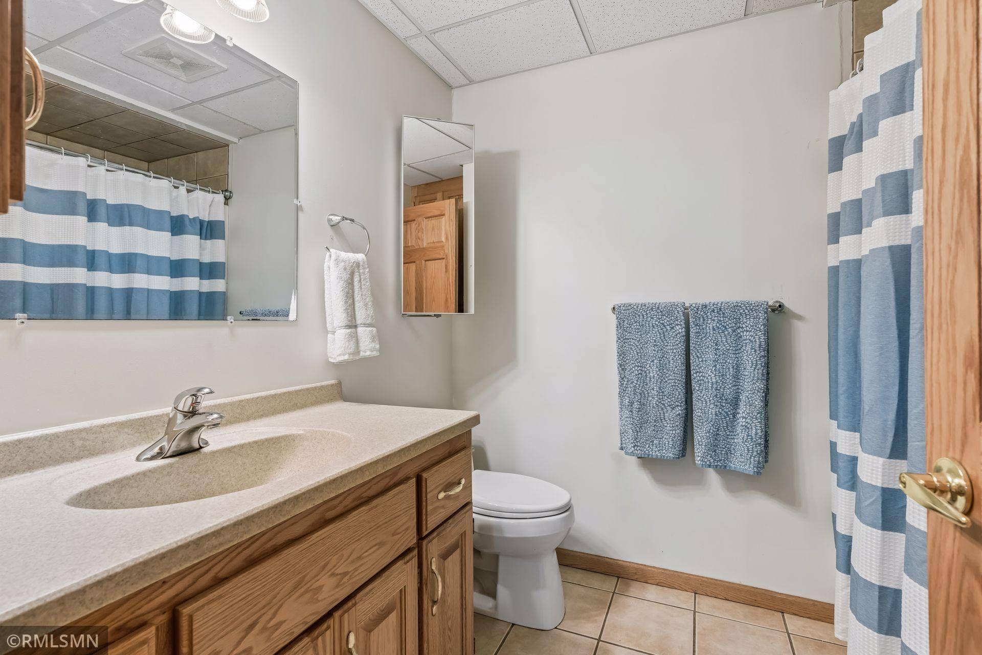 Lower level bathroom
