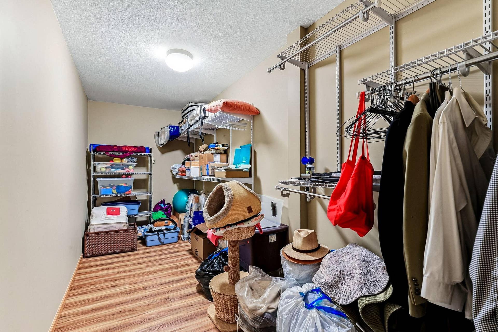 Lower level bedroom has a walk-in closet as well