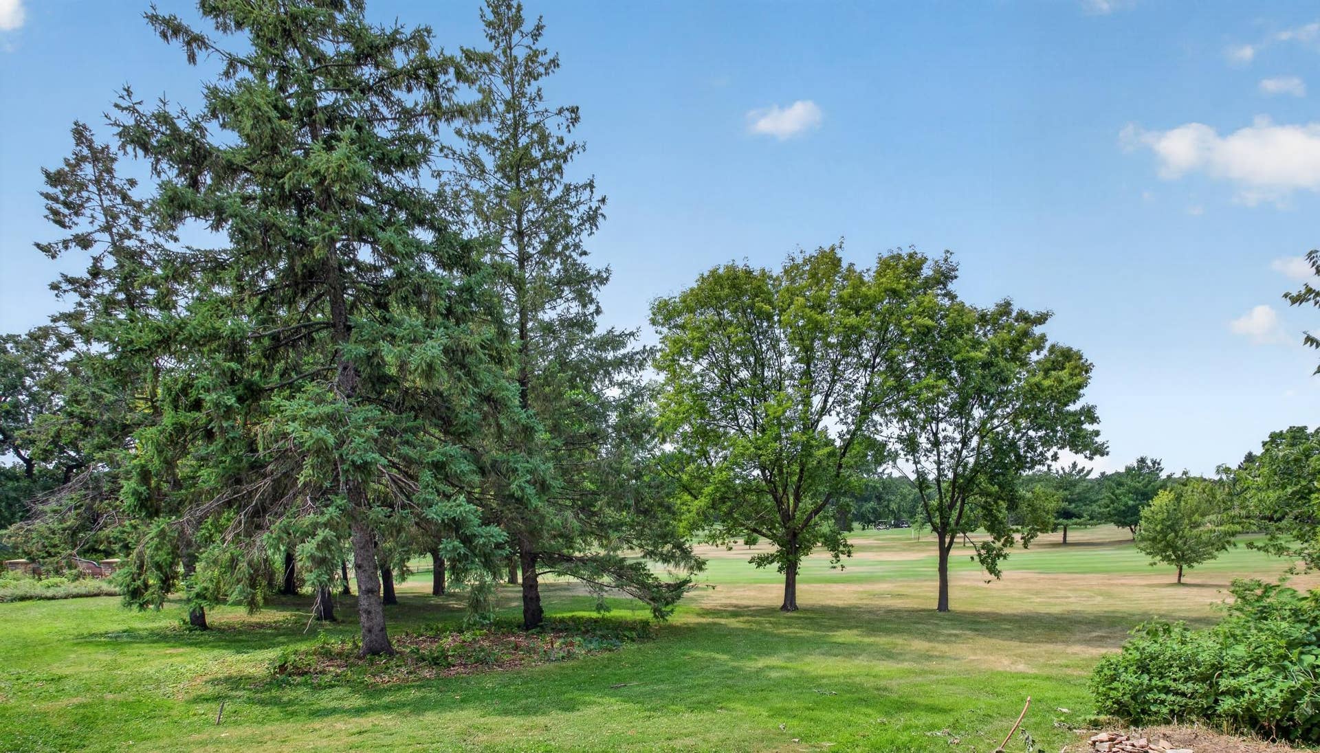 1100 Montana Avenue W, 89, Saint Paul, MN 55108 Golf Course out the back