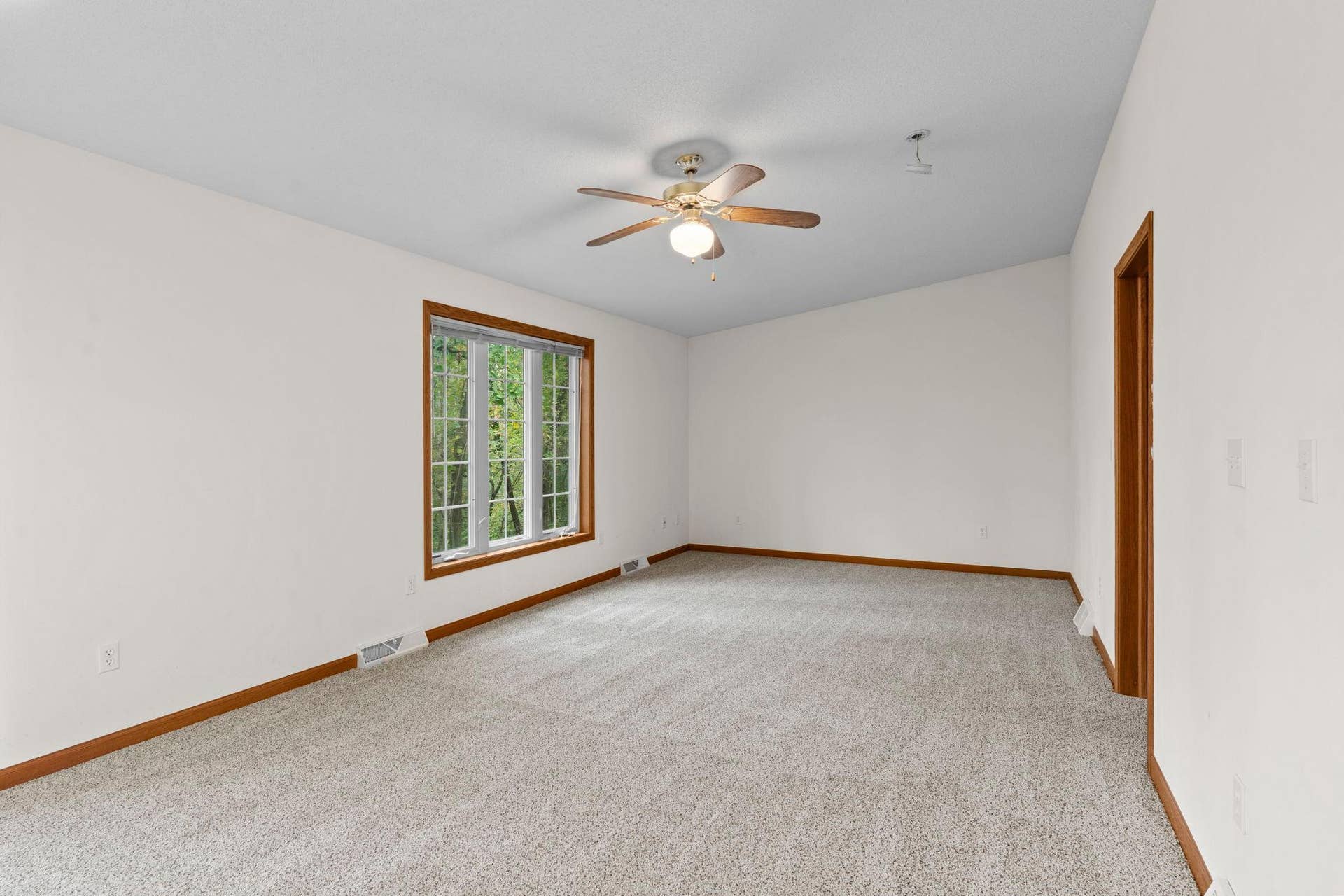 New Carpet