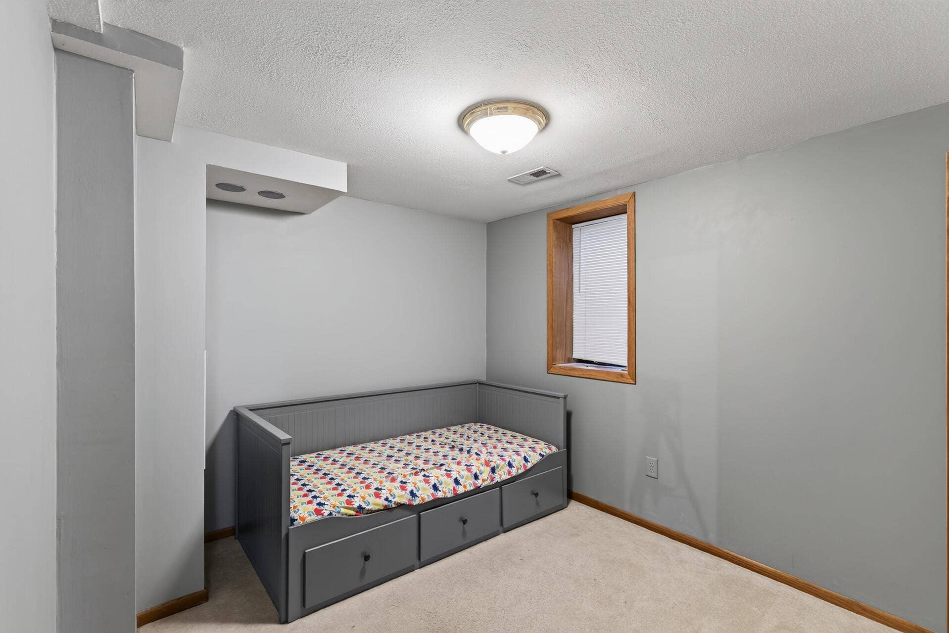 3552 146th Street W, Rosemount, MN 55068 4th bedroom in basement