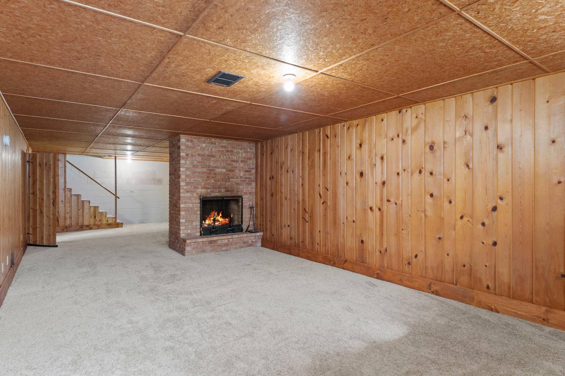 7001 Grimes Avenue N, Brooklyn Center, MN 55429 Lower Level Family Room With Wood Burning Fireplace