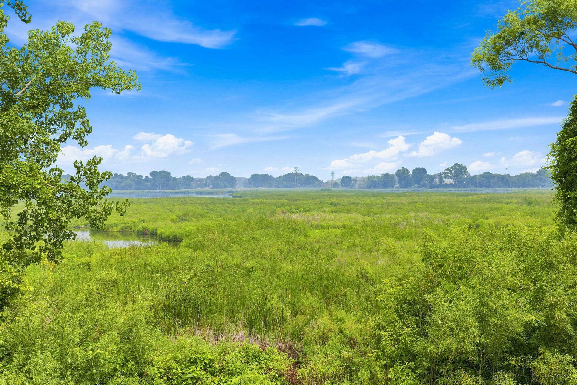 4254 Oakmede Lane, #87B, White Bear Lake, MN 55110 Rice Lake Preservation is beautiful and is filled with wonderful wildlife!