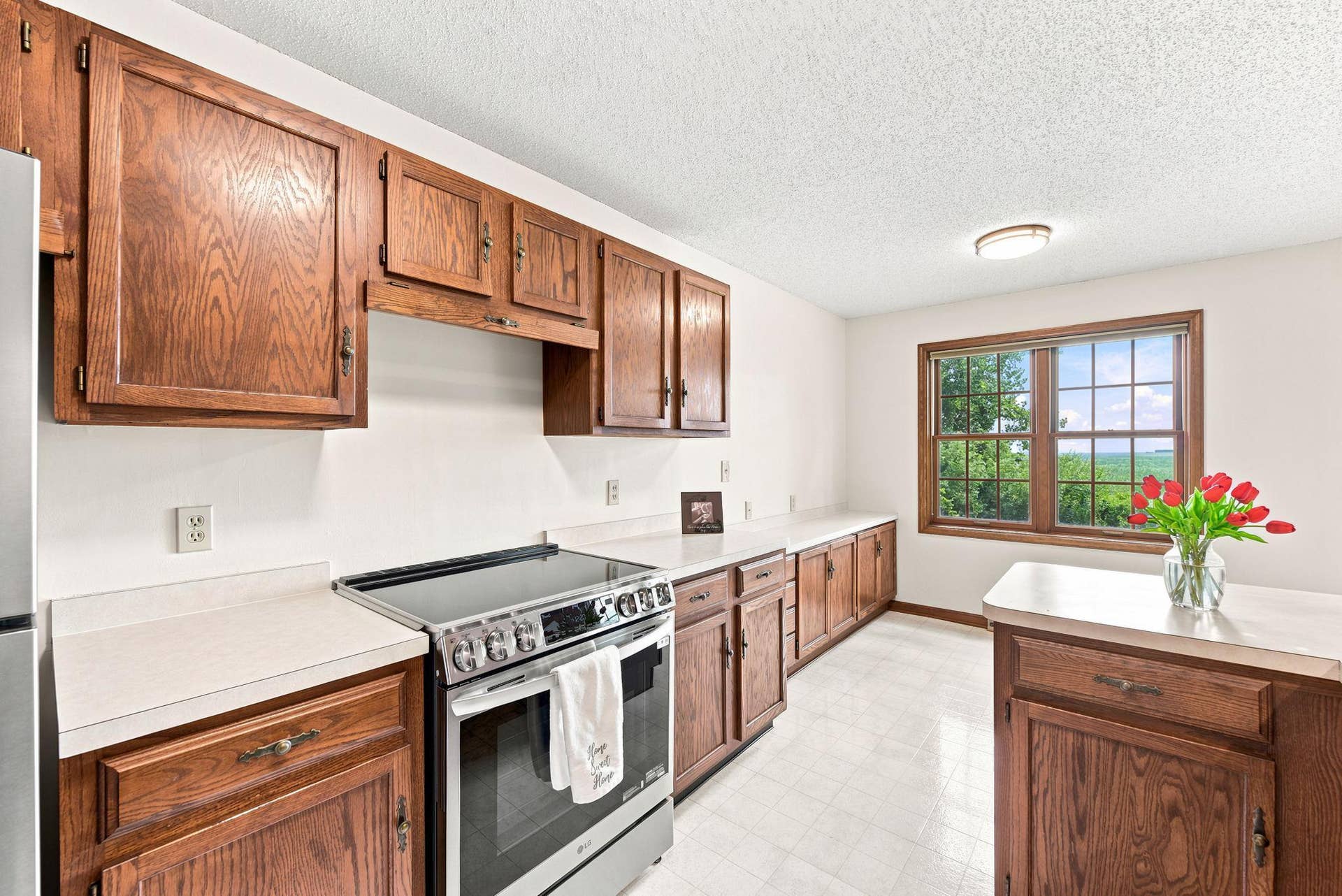 4254 Oakmede Lane, #87B, White Bear Lake, MN 55110 New Stove/Cooktop & Refrigerator