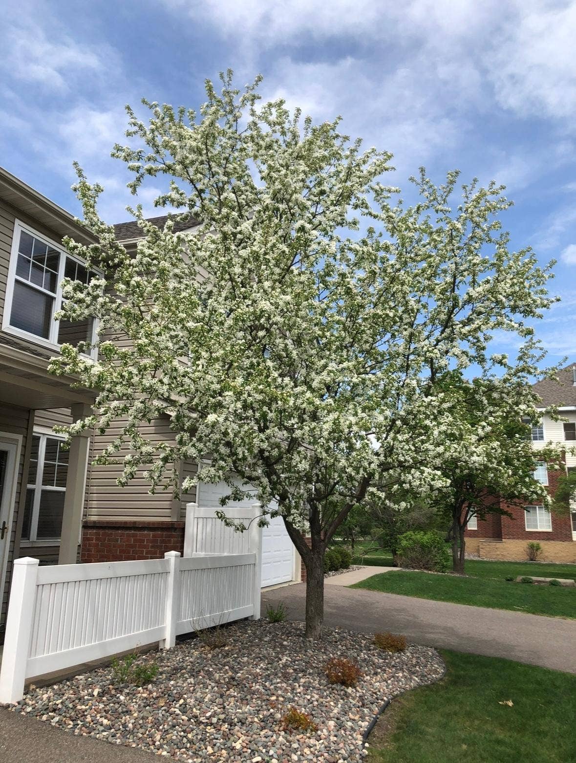 9153 Holly Lane N, Maple Grove, MN 55311 original-AC6509BB-72DA-427F-B043-3F7B460E218A.jpeg