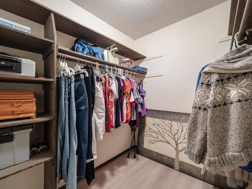 9700 Portland Avenue S, #331, Bloomington, MN 55420 021-056-Closet-1024x768.jpg