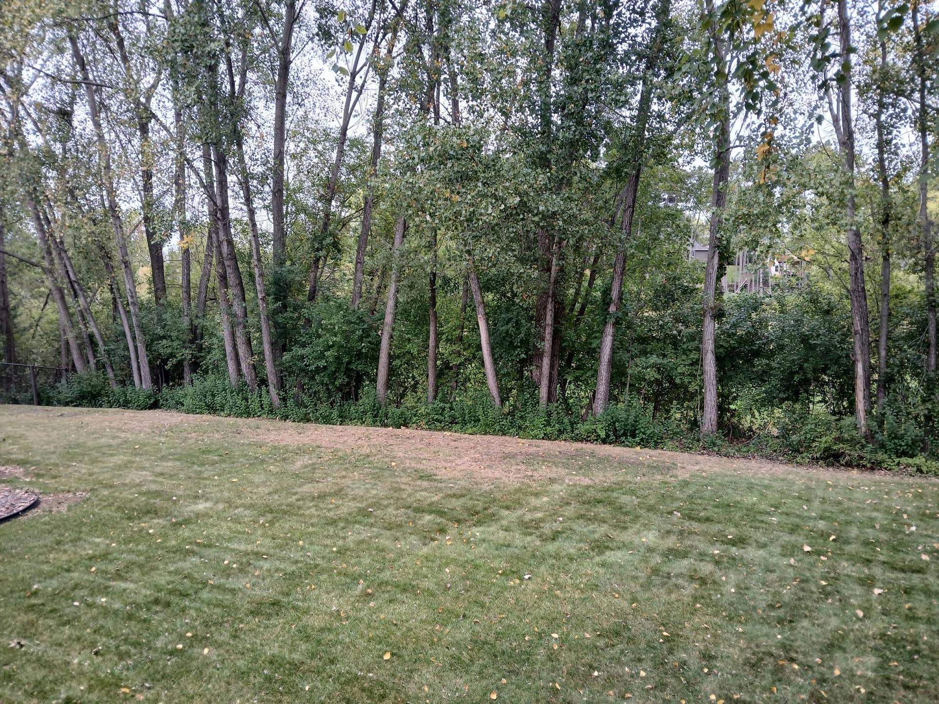 9040 Parkside Drive, Woodbury, MN 55125 20260924_155417.jpg