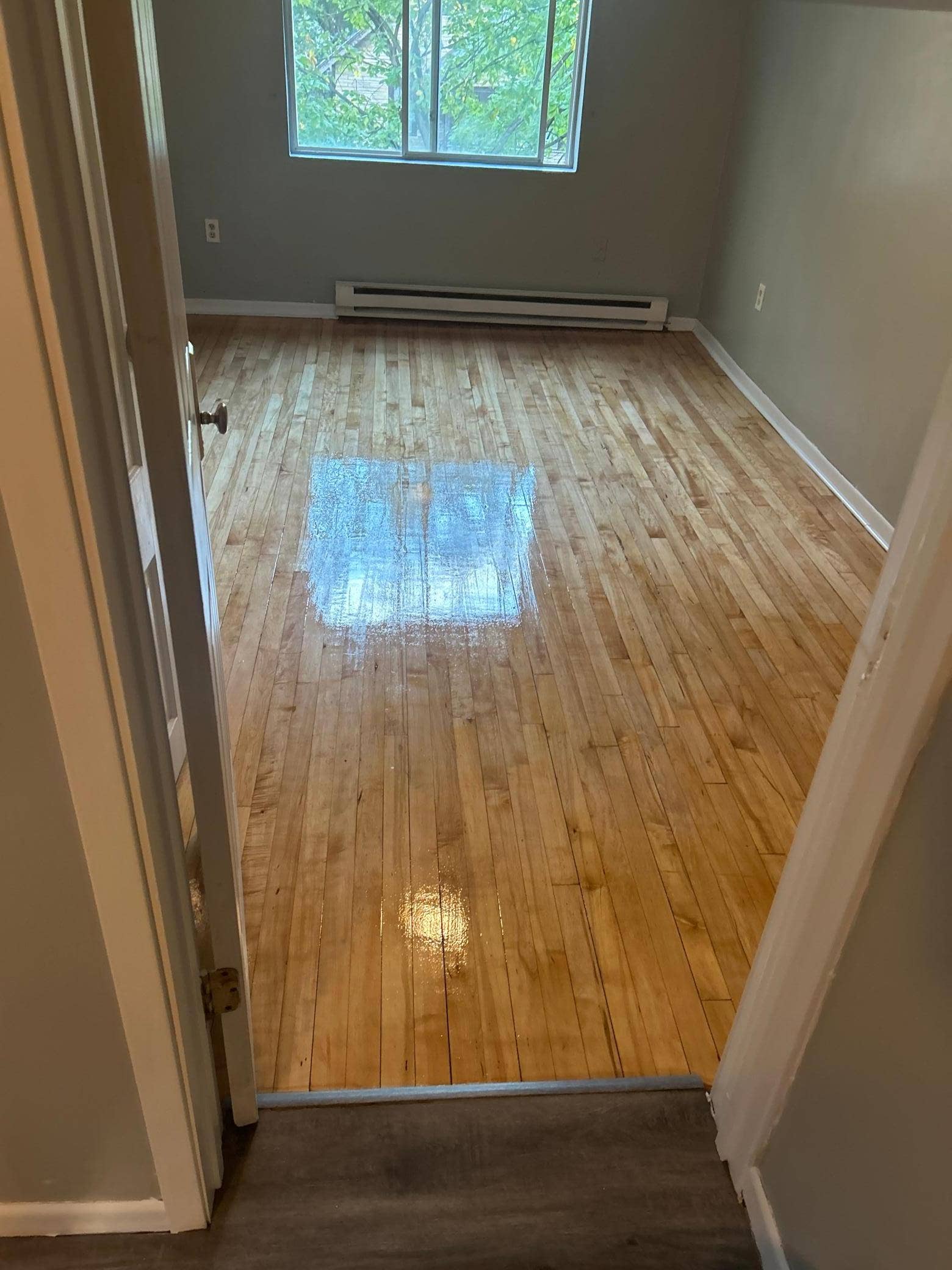 3339 Aldrich Avenue N, 52, Minneapolis, MN 55412 81189933801__FCCB188D-E3DF-4643-97EF-EEF3FEF2B9E7.jpeg