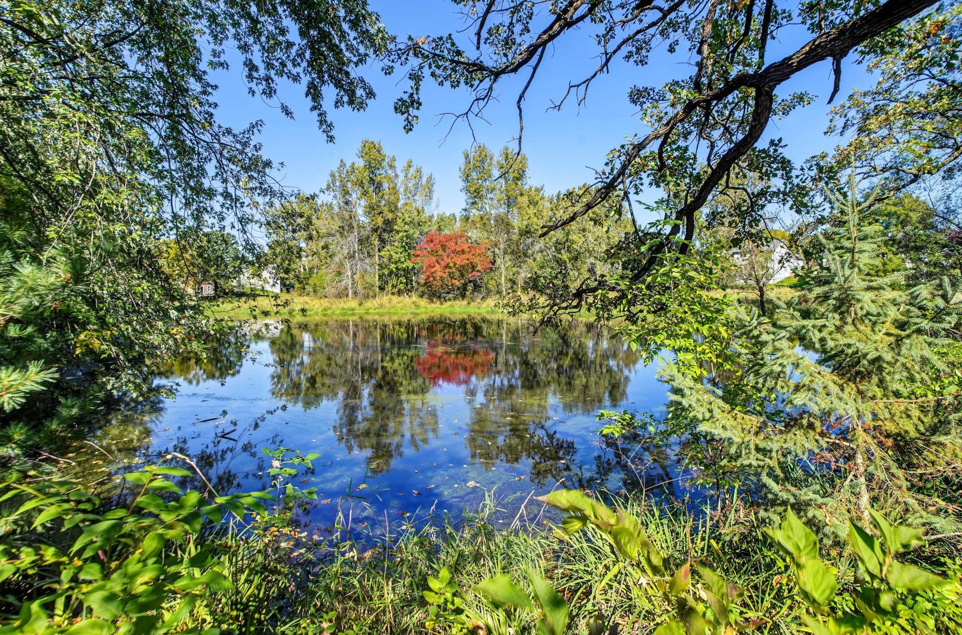7918 Stillwater Boulevard N, Oakdale, MN 55128 7918 Stillwater Boulevard N, Oakdale, MN 55128