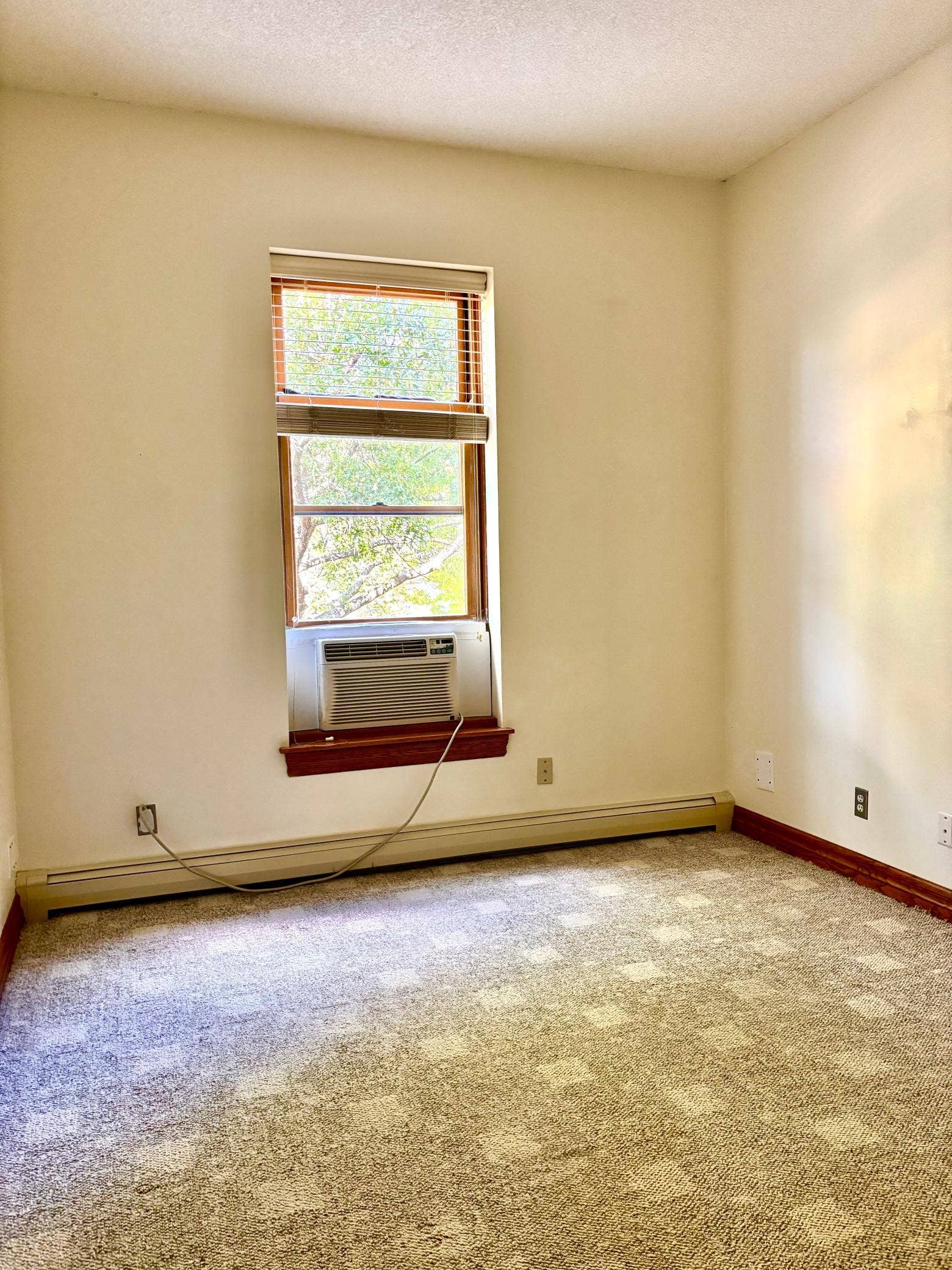 110 Saint Albans Street N, #3, 101, Saint Paul, MN 55104 2nd Bedroom