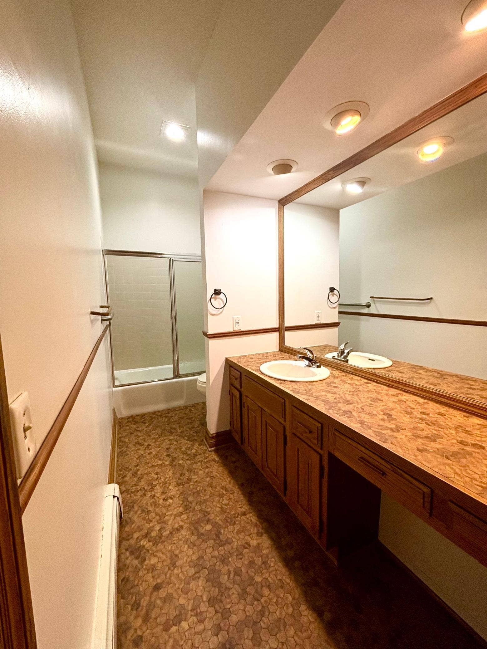 110 Saint Albans Street N, #3, 101, Saint Paul, MN 55104 Spacious bathroom