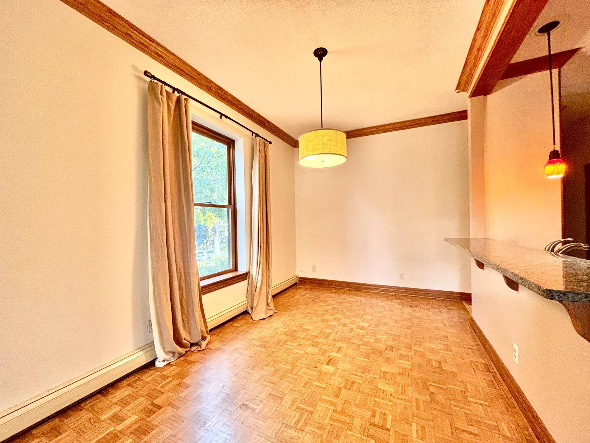 110 Saint Albans Street N, #3, 101, Saint Paul, MN 55104 Wonderful Dining Room!