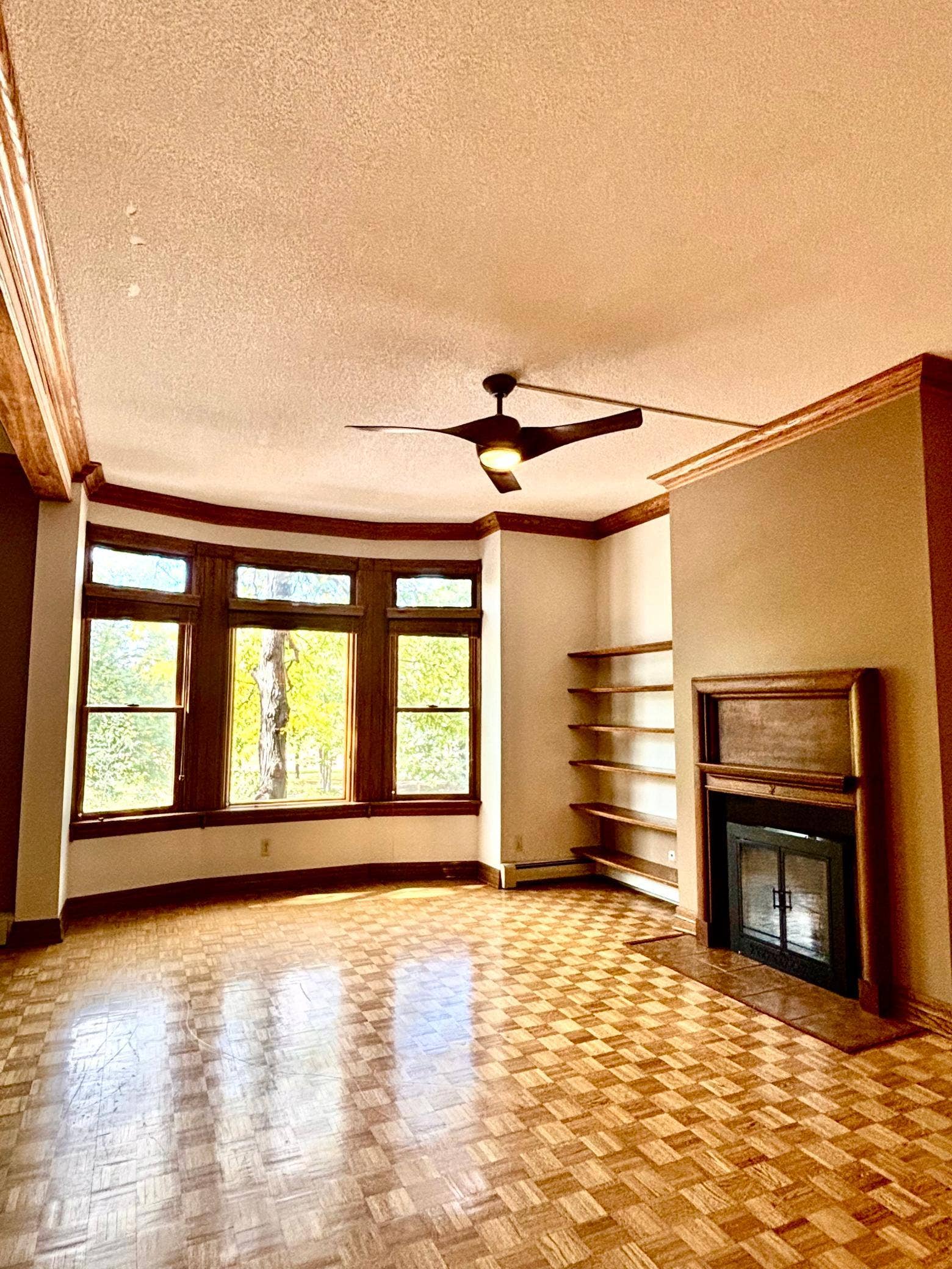 110 Saint Albans Street N, #3, 101, Saint Paul, MN 55104 Living room with wood burning fireplace