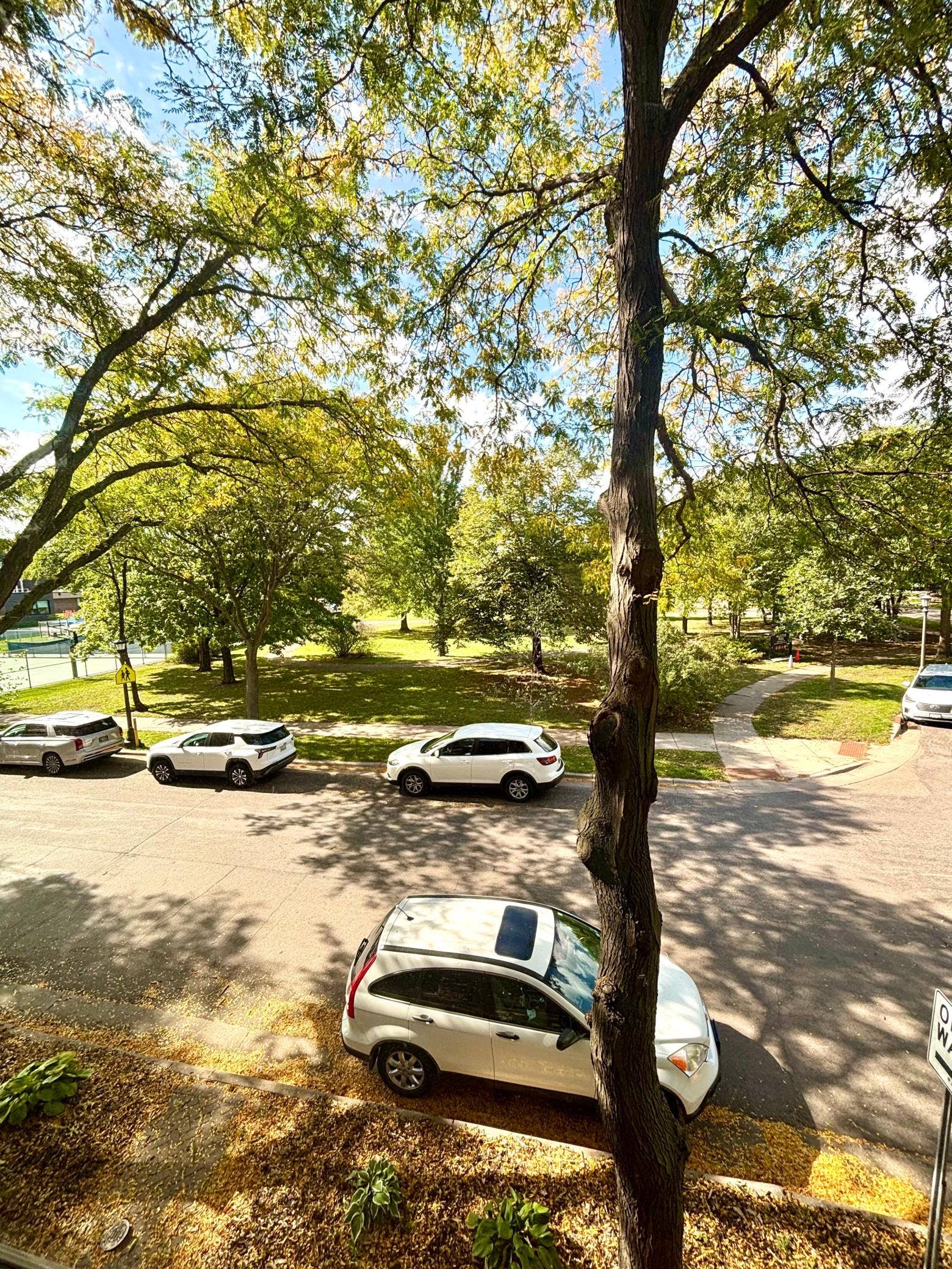 110 Saint Albans Street N, #3, 101, Saint Paul, MN 55104 View from the Living Room/Den area