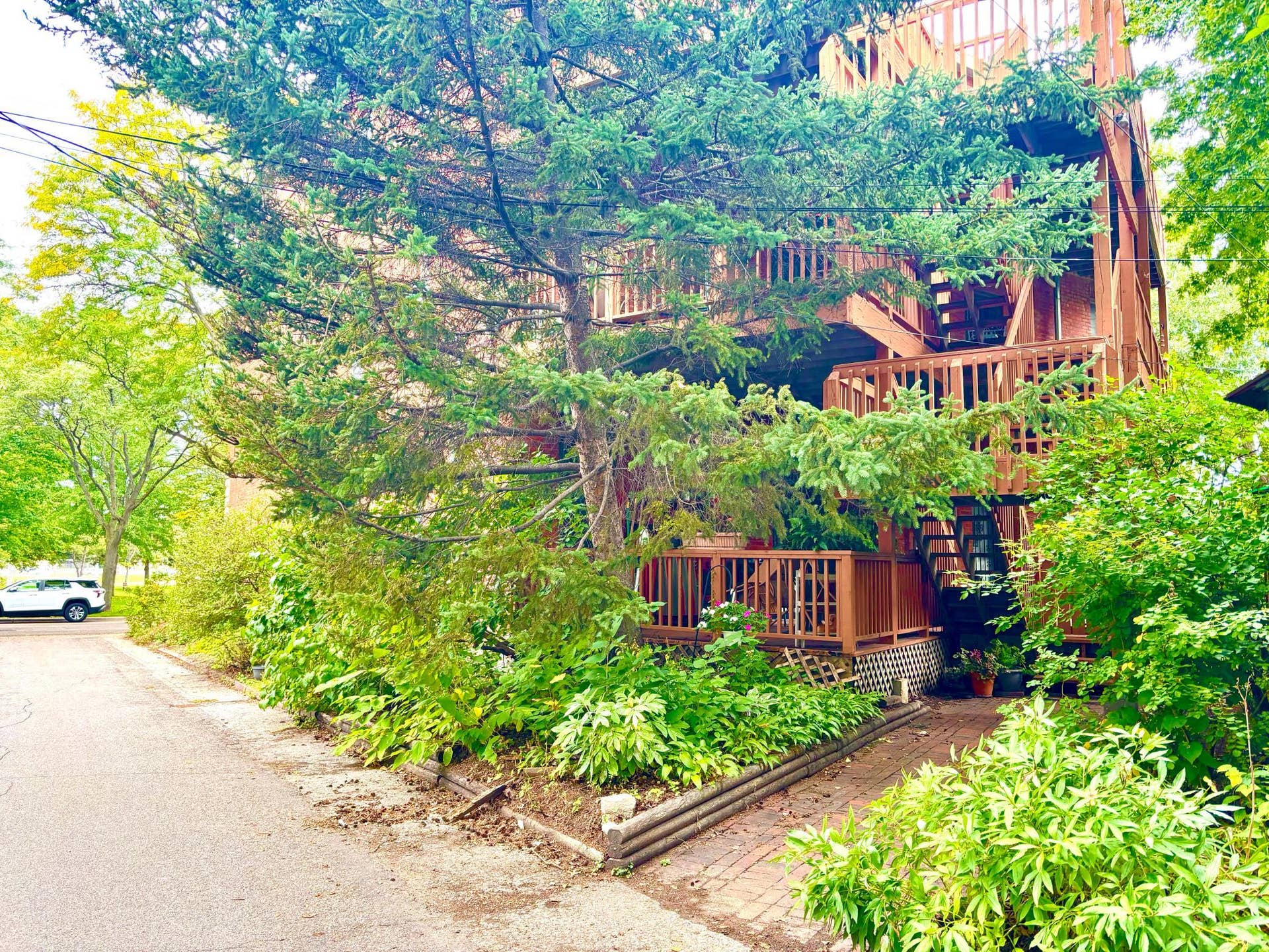 110 Saint Albans Street N, #3, 101, Saint Paul, MN 55104 Beautiful space to your back entrance