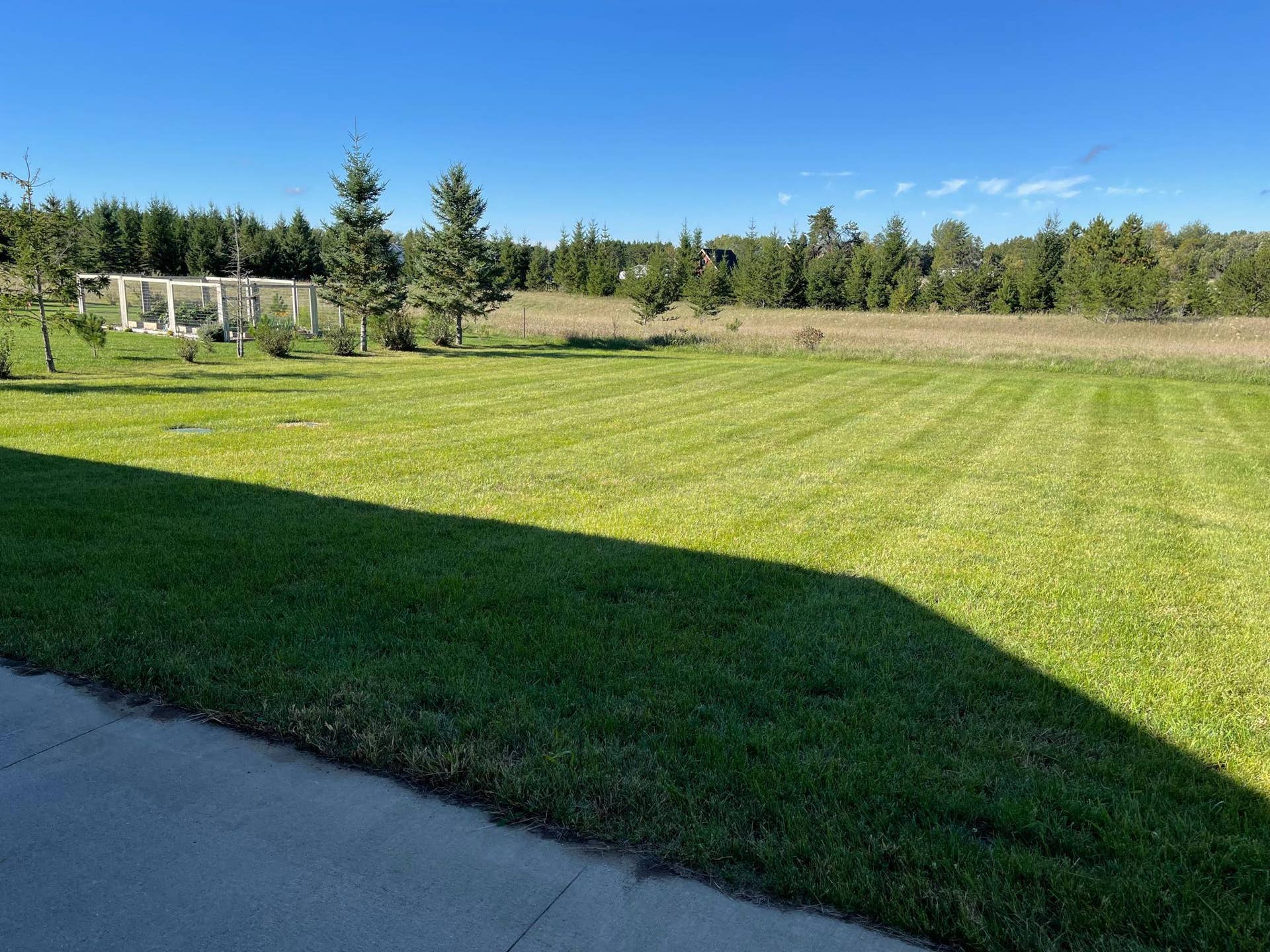 2008 Whiting Road NW, #8, Bemidji, MN 56601 Back Yard.jpeg