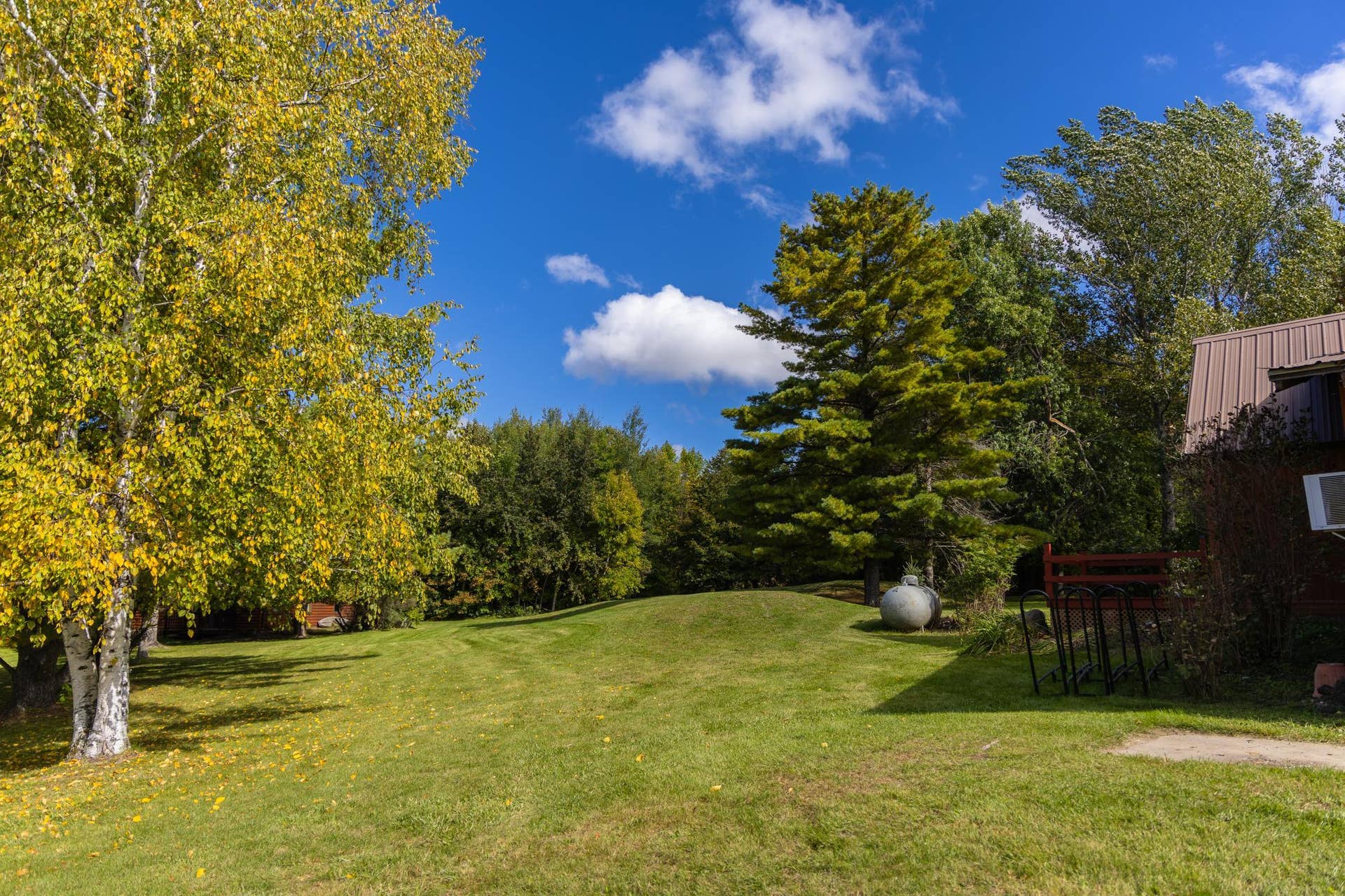 9806 Green Acres Court NE, #13, Bemidji, MN 56601 Large Yard.jpg
