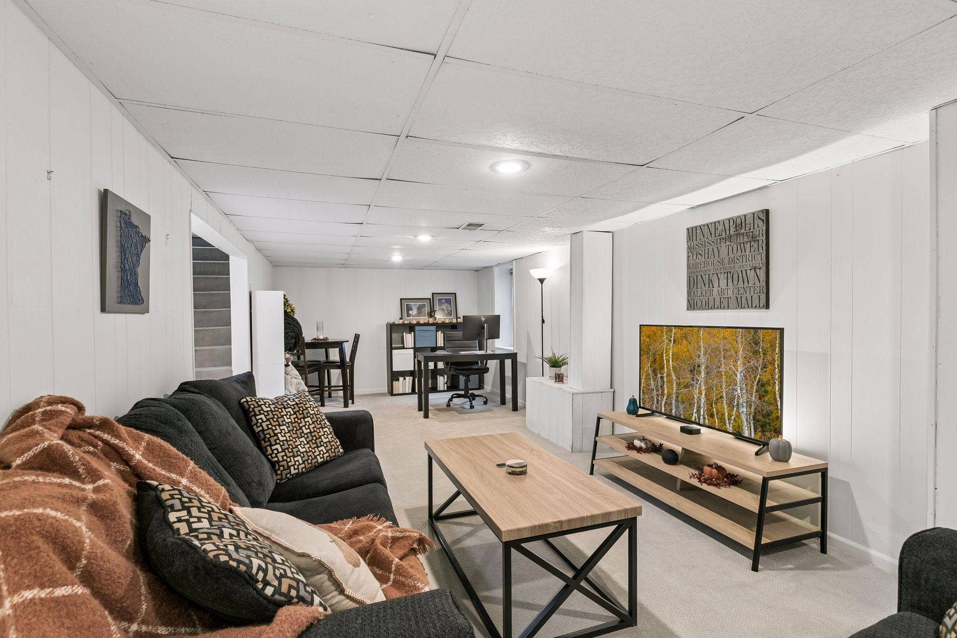 Lower Level Living Room