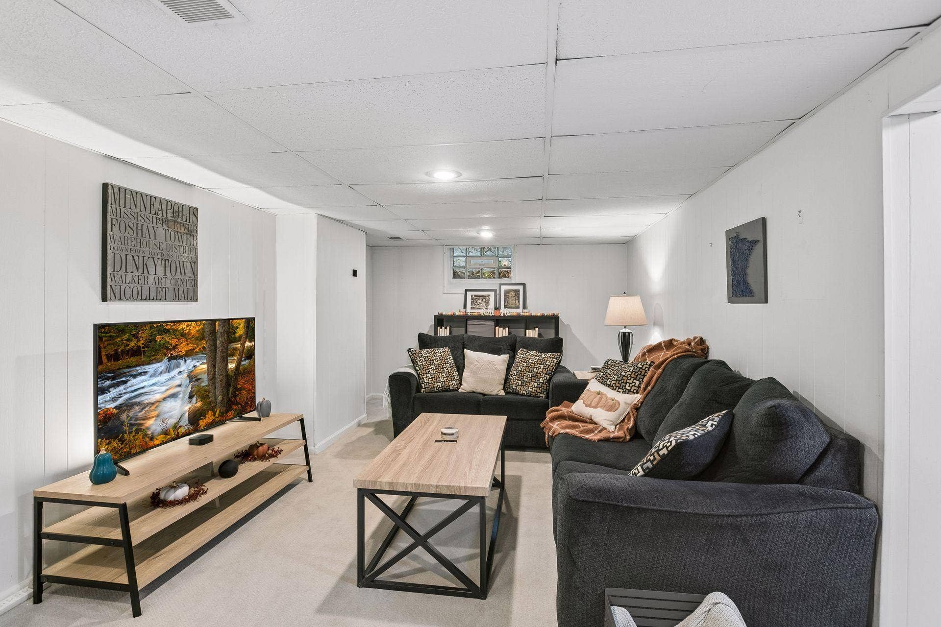 Lower Level living Room