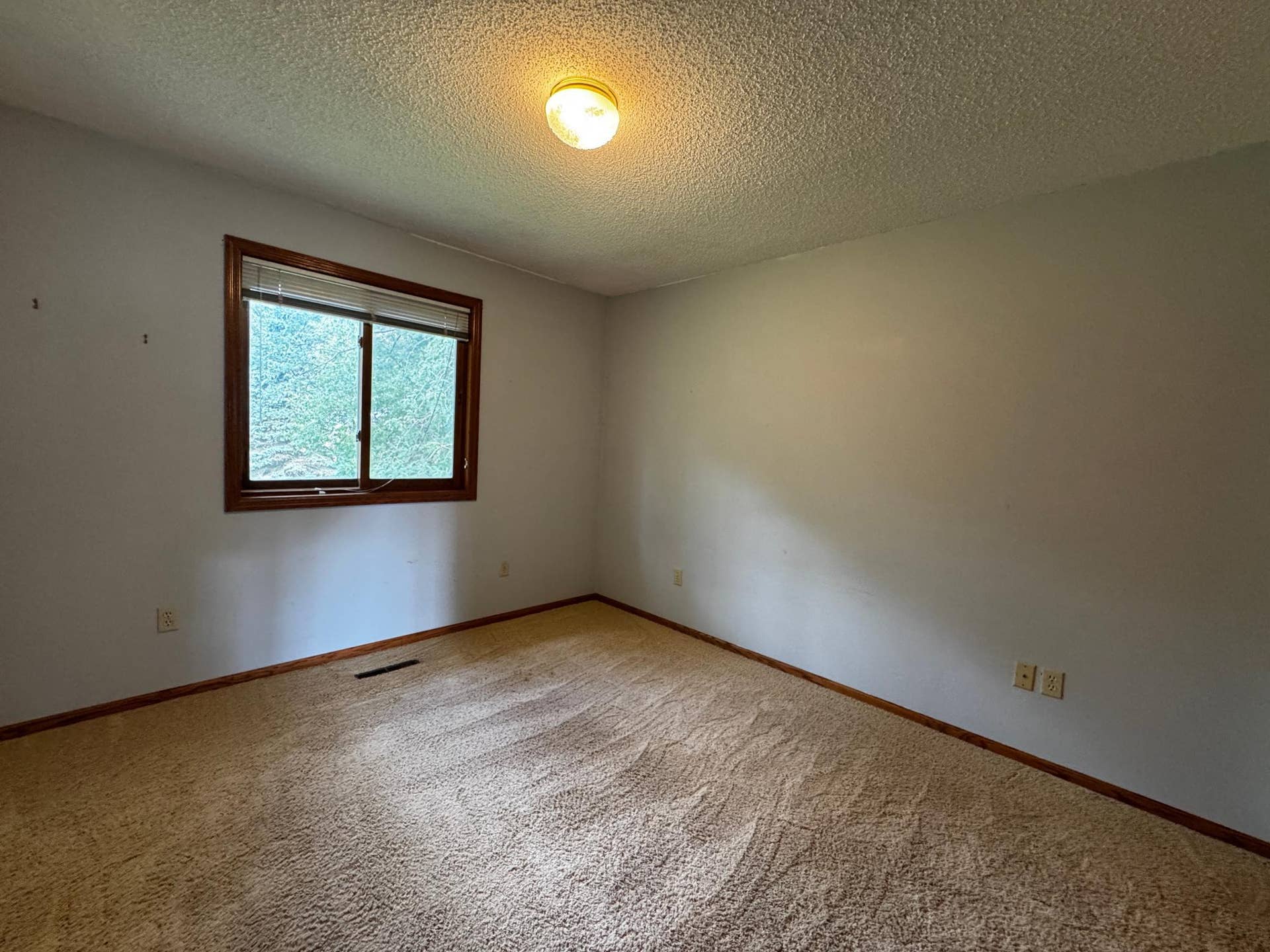 1567 County Road 7, Balaton, MN 56115 20260928_194914749_iOS.jpg