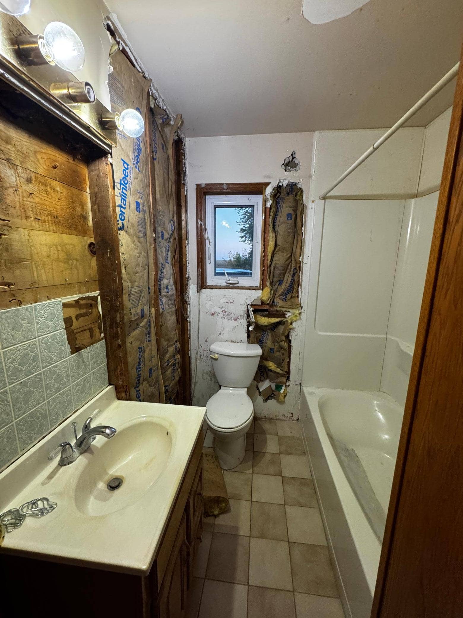 1567 County Road 7, Balaton, MN 56115 Bathroom off the dining room.jpg