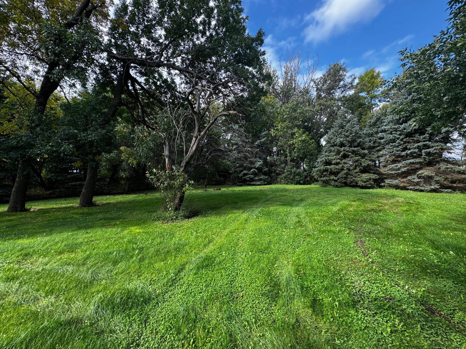 1567 County Road 7, Balaton, MN 56115 20260928_192819016_iOS.jpg