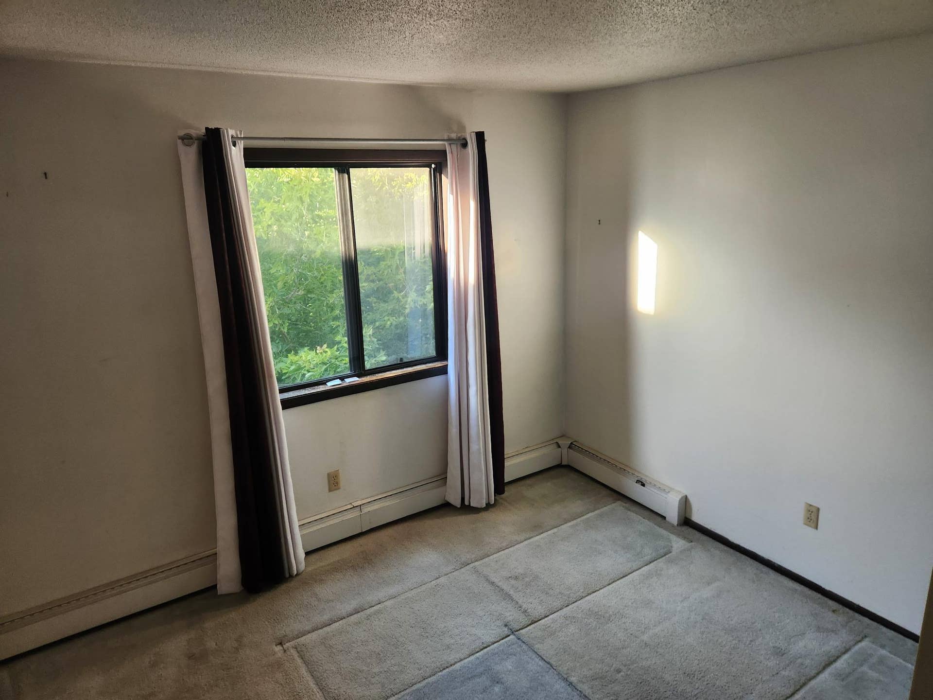 7412 72nd Lane N, #318, Brooklyn Park, MN 55428 1000005753.jpg