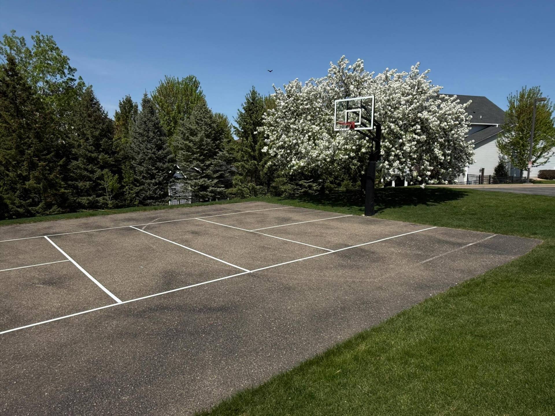 3110 Frontier Drive, Woodbury, MN 55129 HOA Sports Court