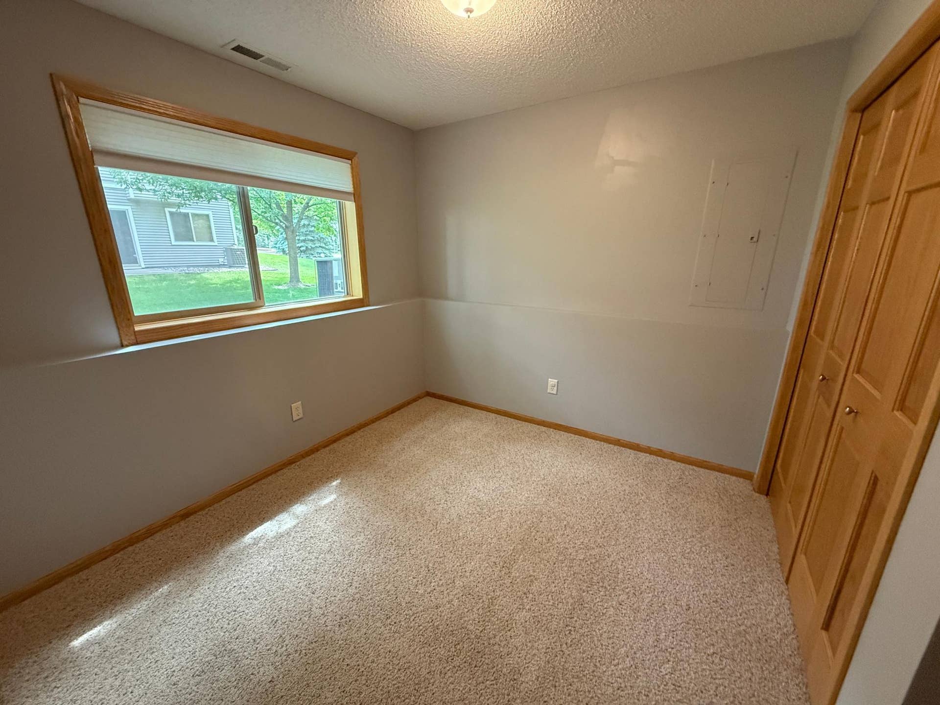 3110 Frontier Drive, Woodbury, MN 55129 Lower Bedroom