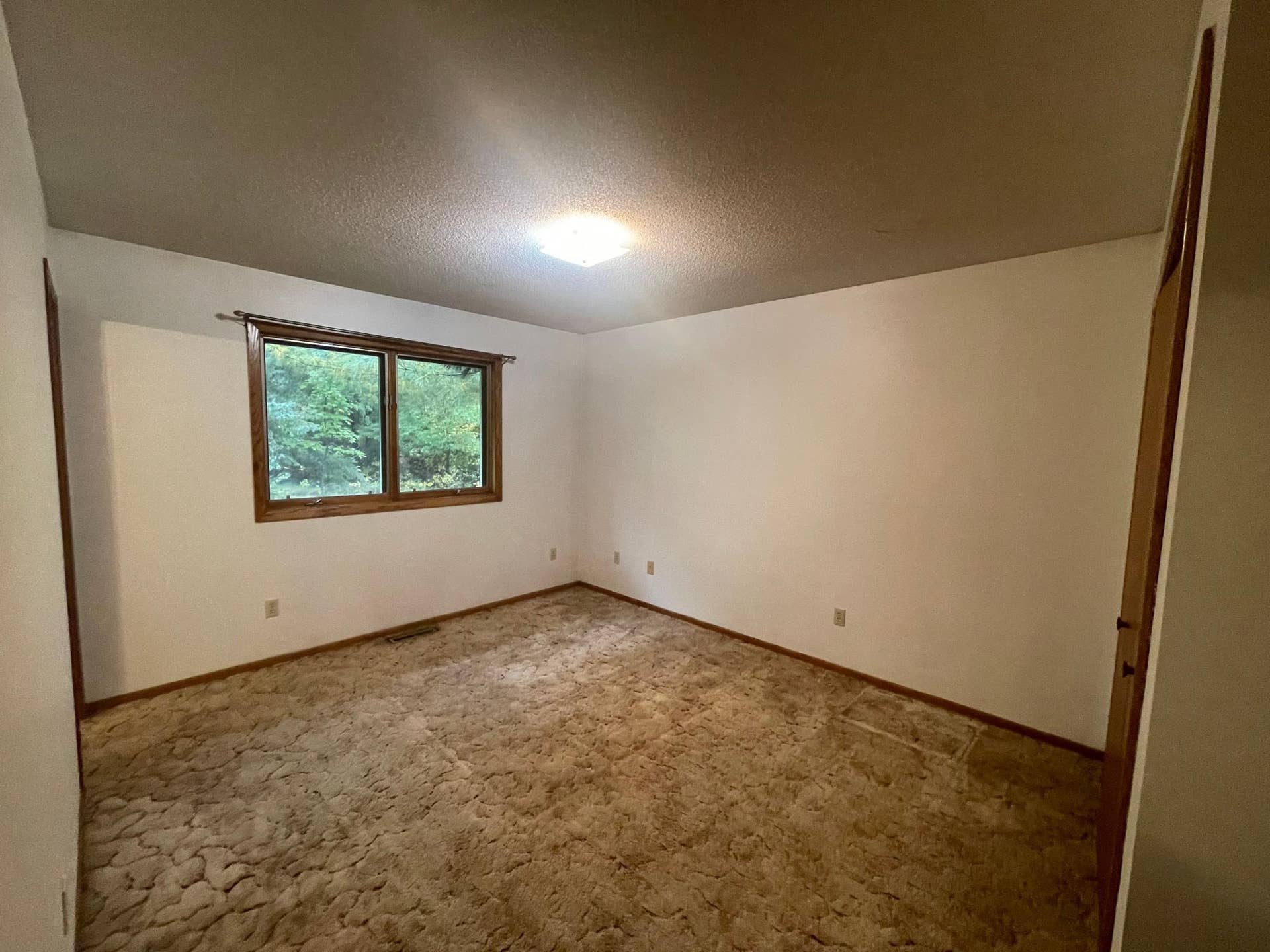 352 Sunset Avenue NW, Wilton, MN 56601 352 24.jpeg