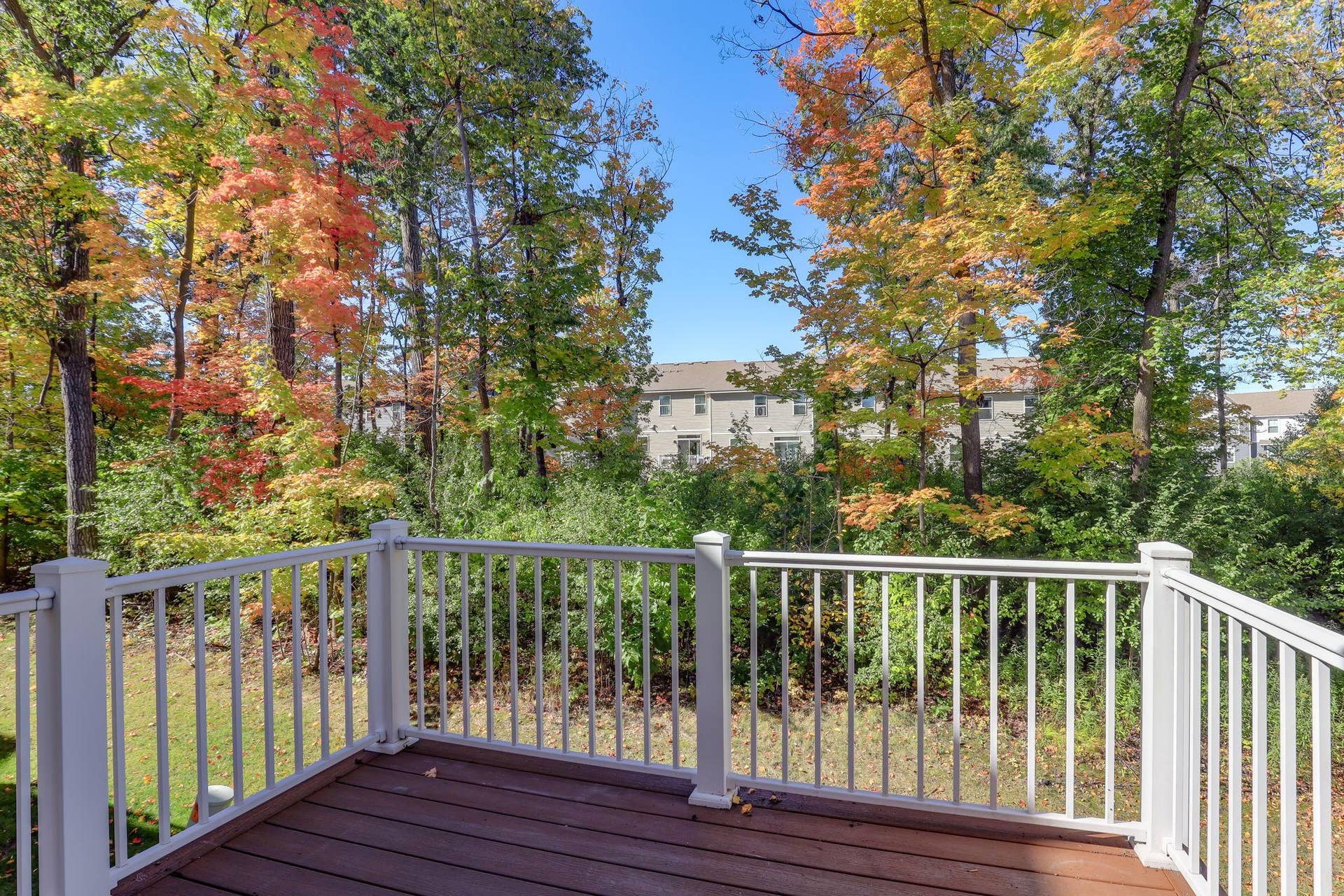 36-web-or-mls-9663-Merrimac-Ln-N-36.jpg