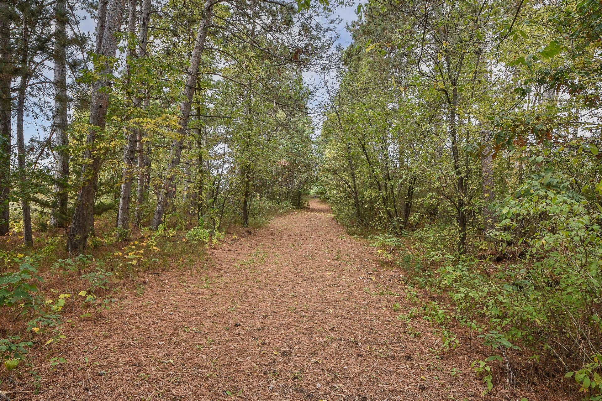 8795 Lakewood Shore Road NW, Rice, MN 56367 8795 Lakewood Fall-15.jpg