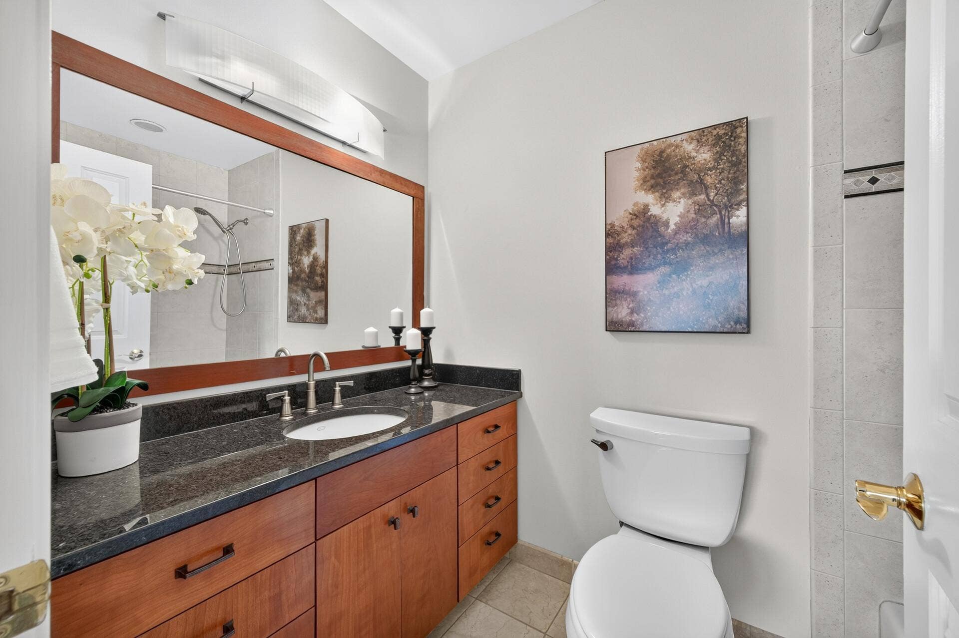 100 2nd Street SE, #406, 50, Minneapolis, MN 55414 Primary Full Bathroom w/Granite Countertops