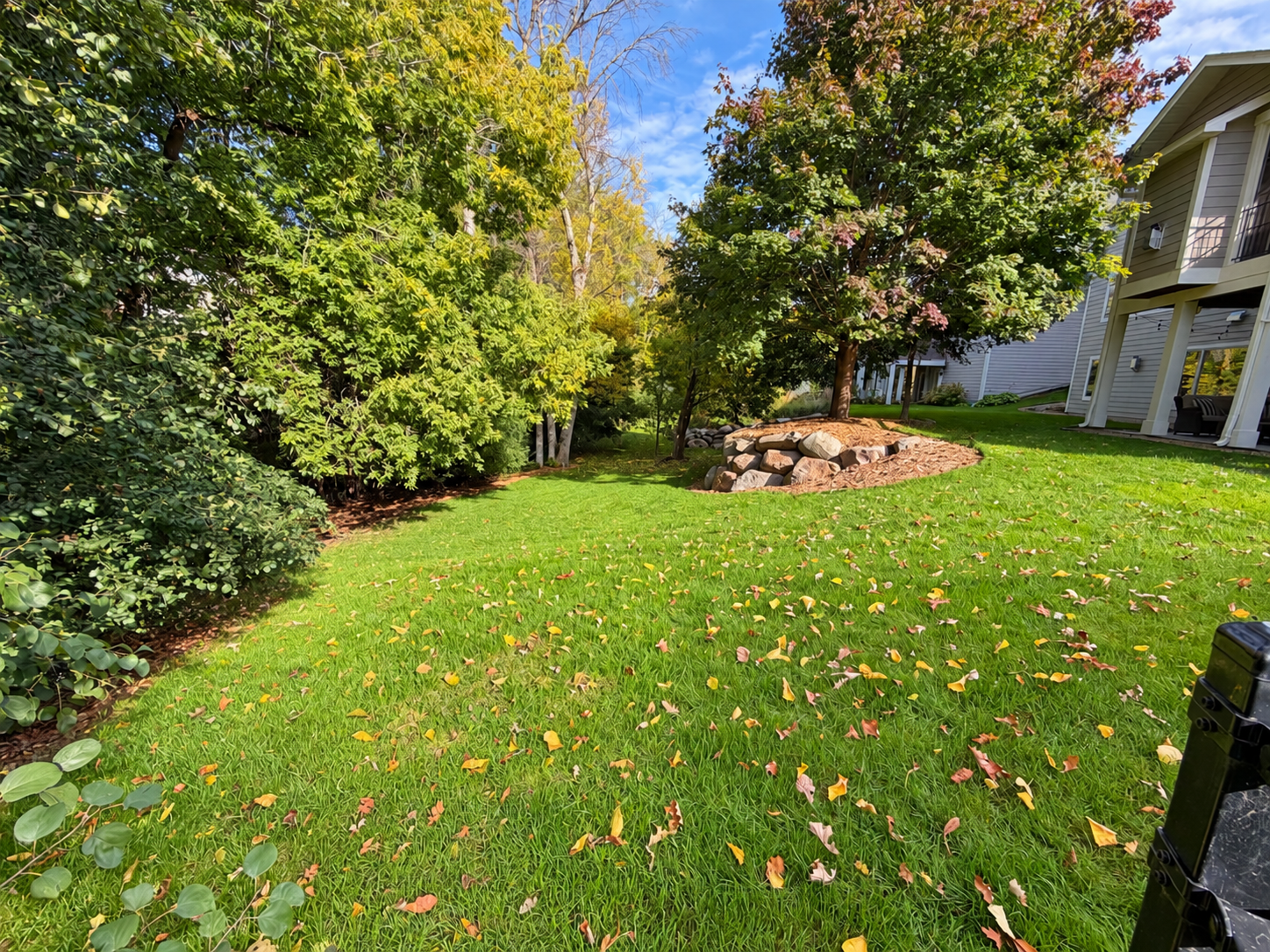 17276 62nd Avenue N, Maple Grove, MN 55311 backyard.png