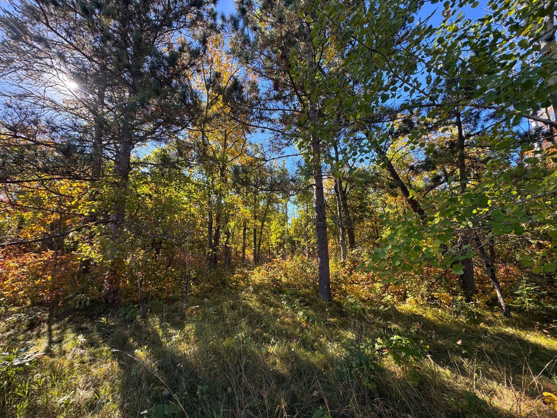 TBD Golf View Drive NE, Bemidji, MN 56601 Schulz__3.jpg