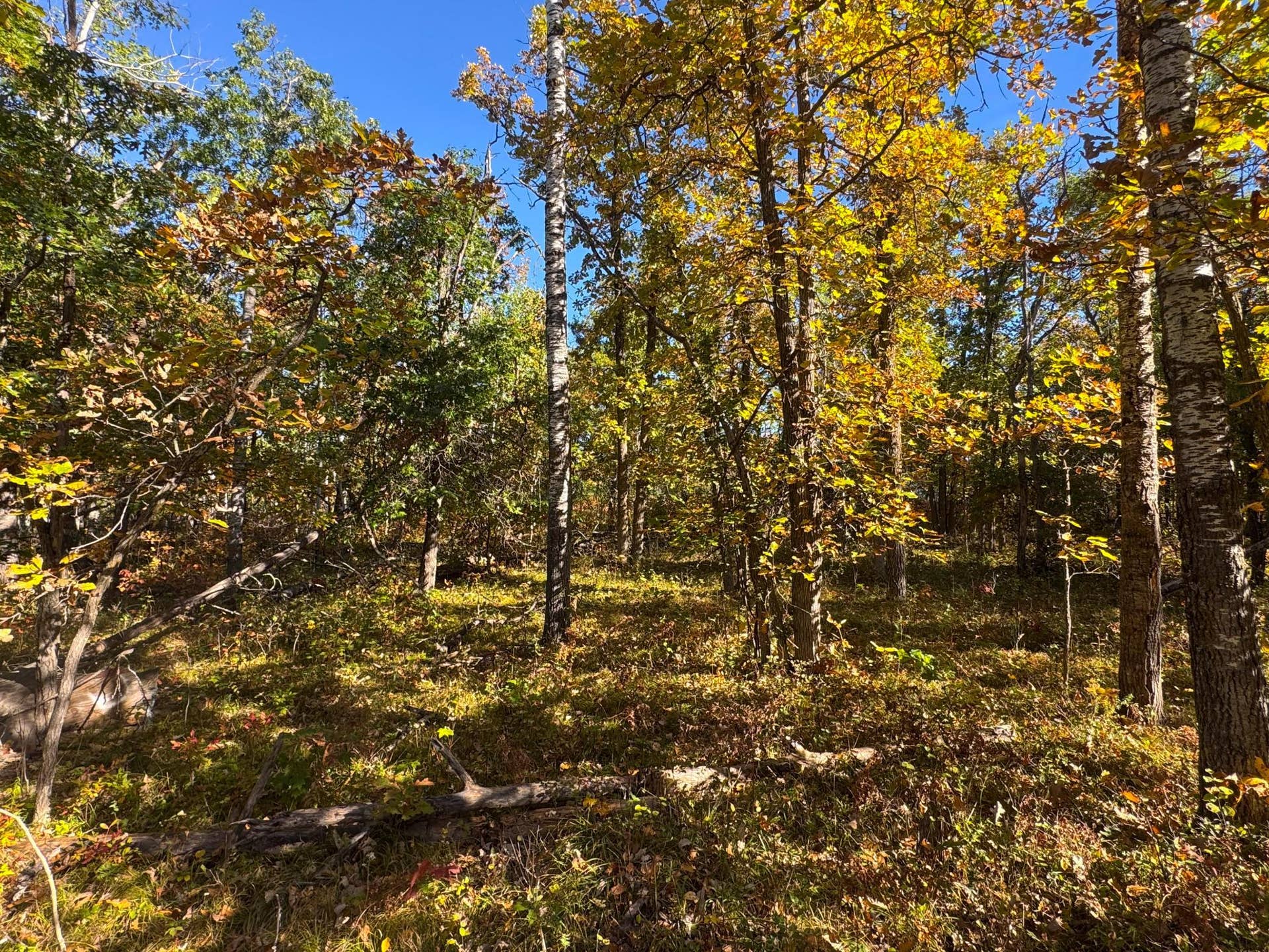 TBD Golf View Drive NE, Bemidji, MN 56601 Schulz__5.jpg