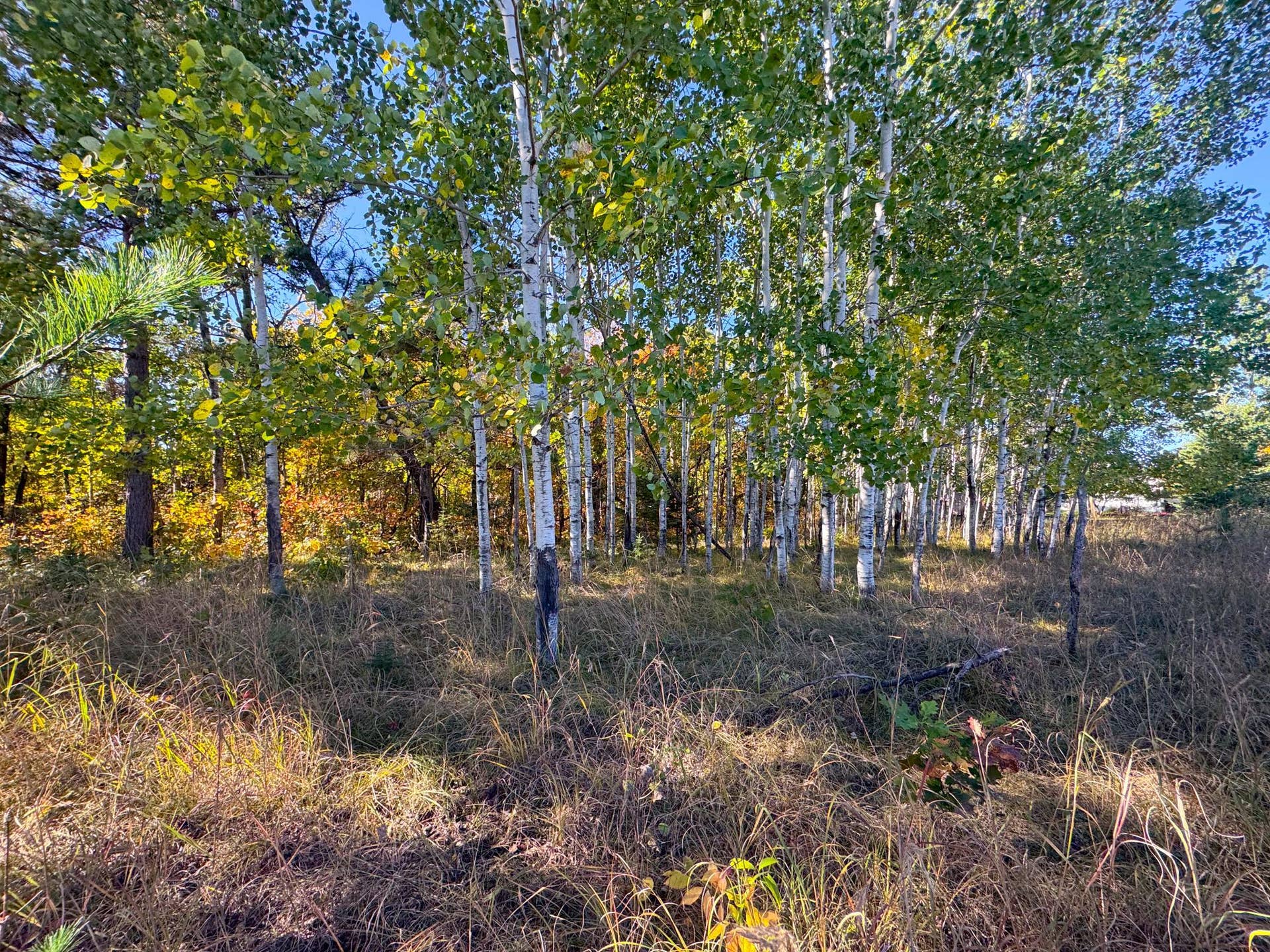 TBD Golf View Drive NE, Bemidji, MN 56601 Schulz__2.jpg