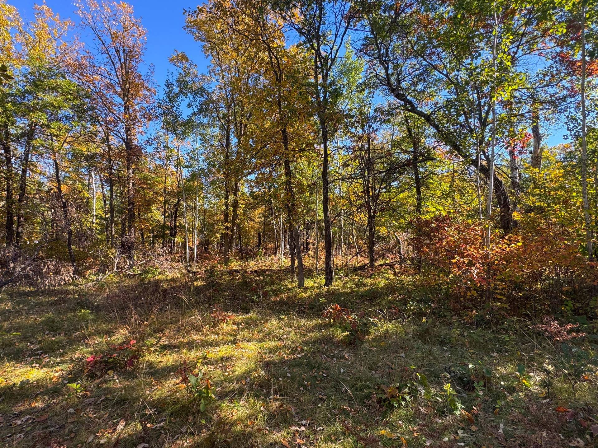 TBD Golf View Drive NE, Bemidji, MN 56601 Schulz__6.jpg