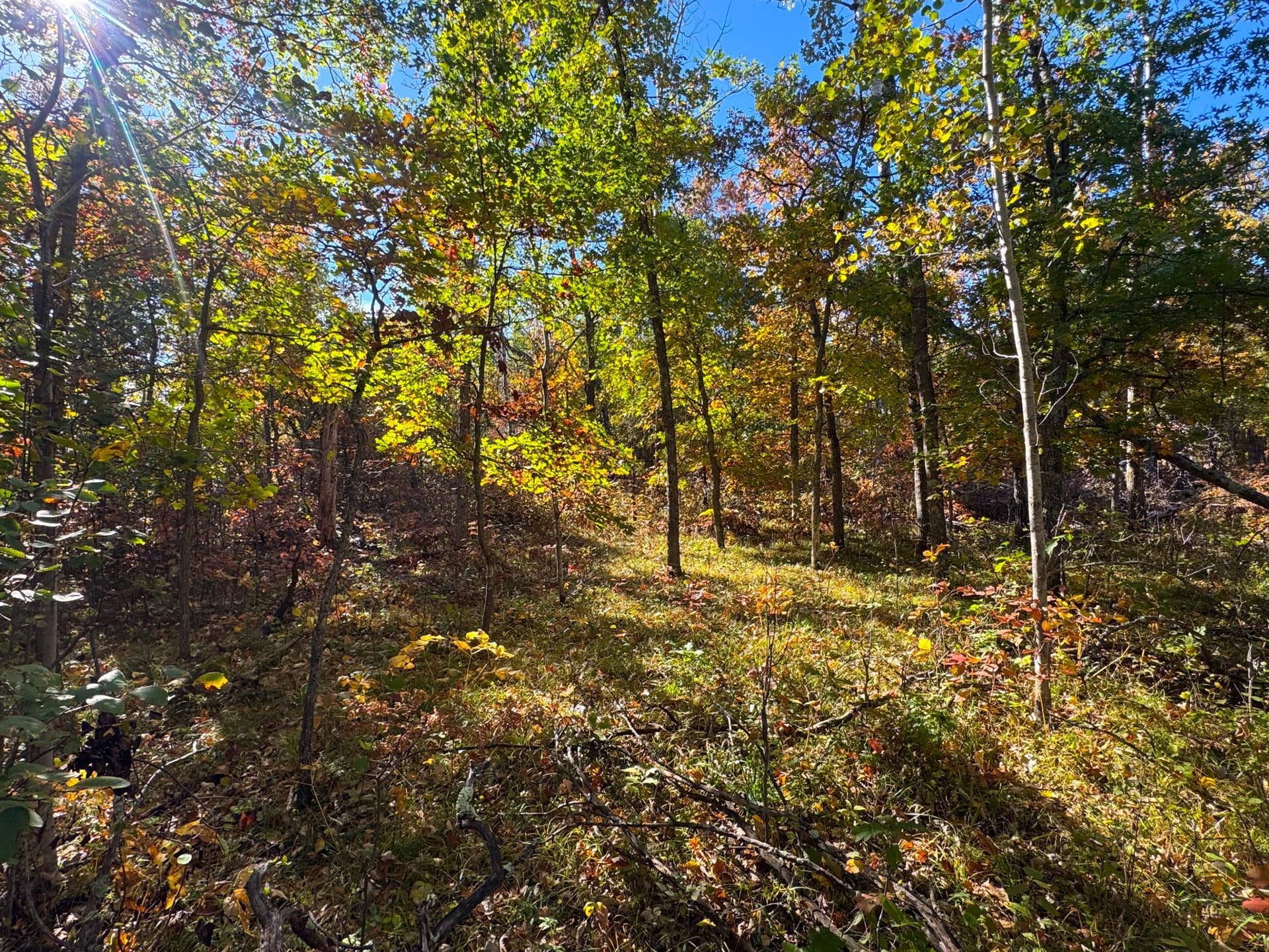 TBD Golf View Drive NE, Bemidji, MN 56601 Schulz__4.jpg