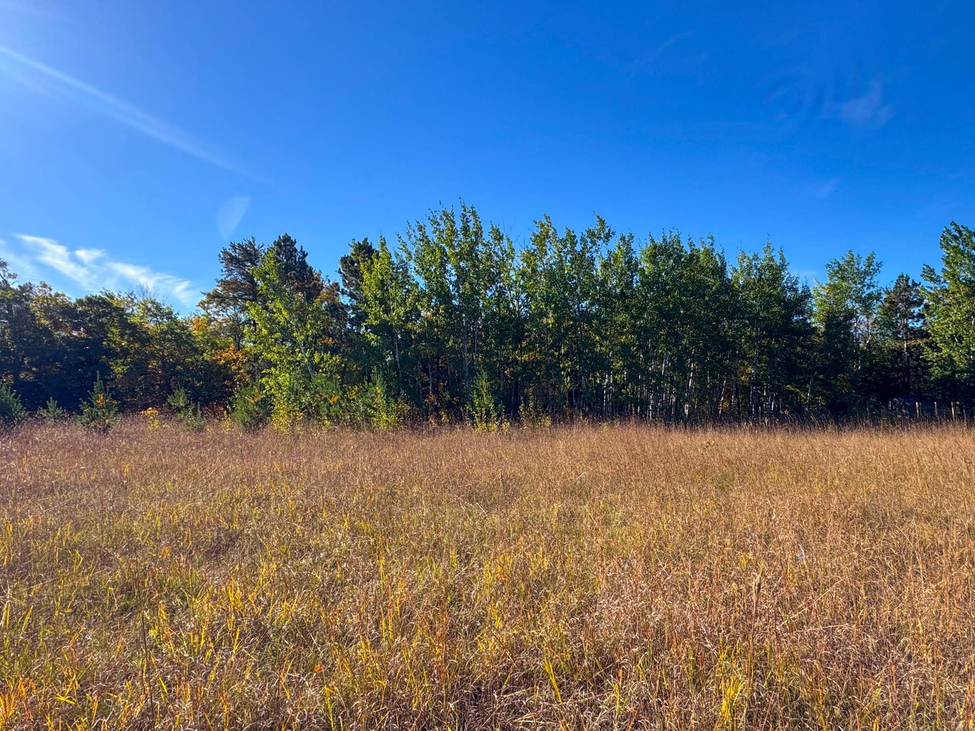 TBD Golf View Drive NE, Bemidji, MN 56601 Schulz_.jpg