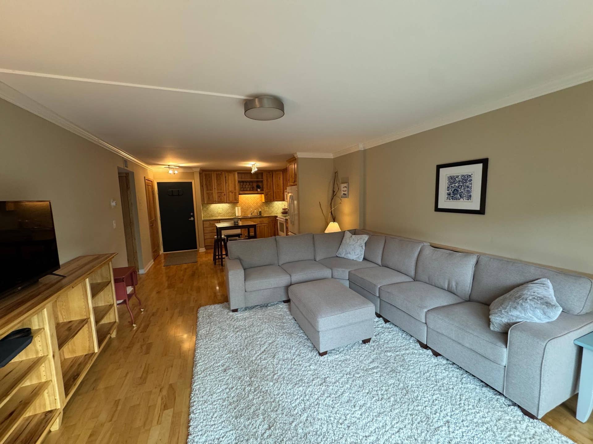 210 W Grant Street, #615, 45, Minneapolis, MN 55403 210 W Grant Street, #615, 45, Minneapolis, MN 55403