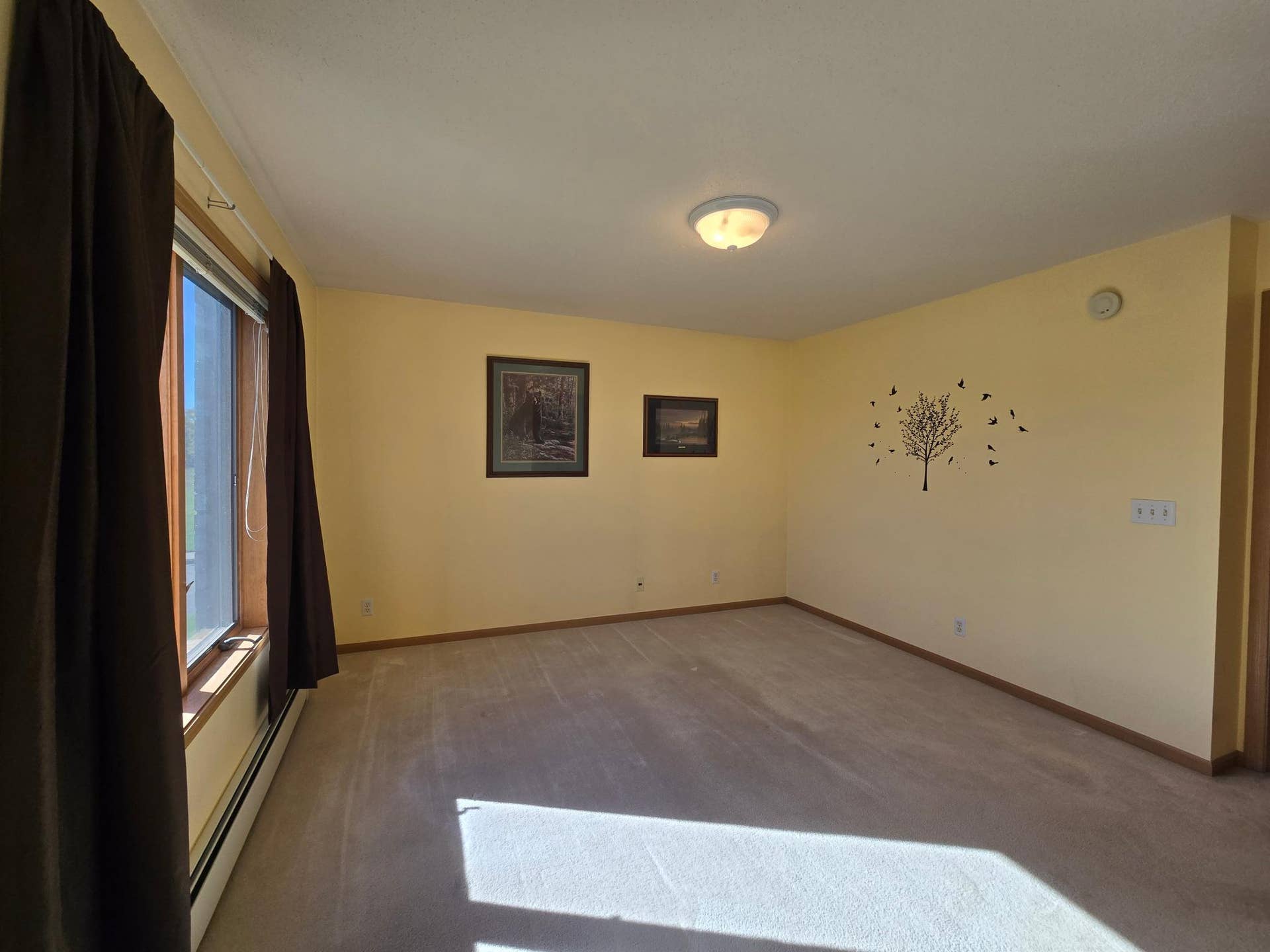 405 Clausen Avenue SW, #5, Bemidji, MN 56601 20261001_111336.jpg