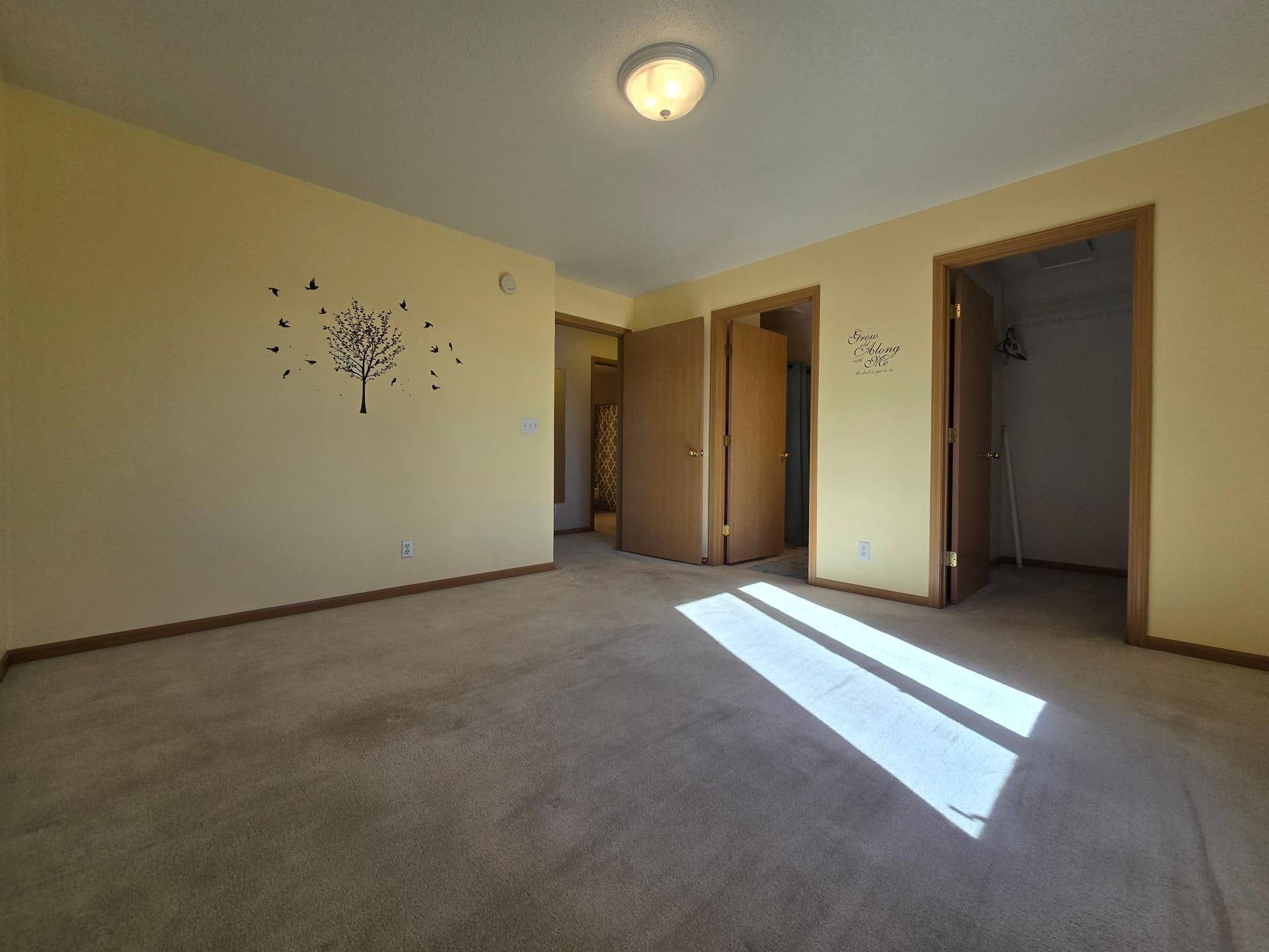 405 Clausen Avenue SW, #5, Bemidji, MN 56601 20261001_111305.jpg