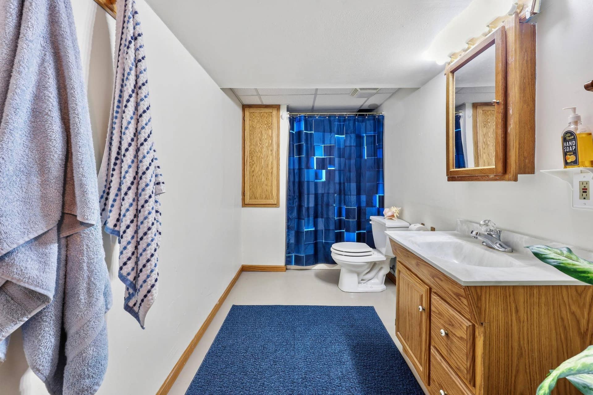 260 Westgate Drive, Winsted, MN 55395 LL Bathroom