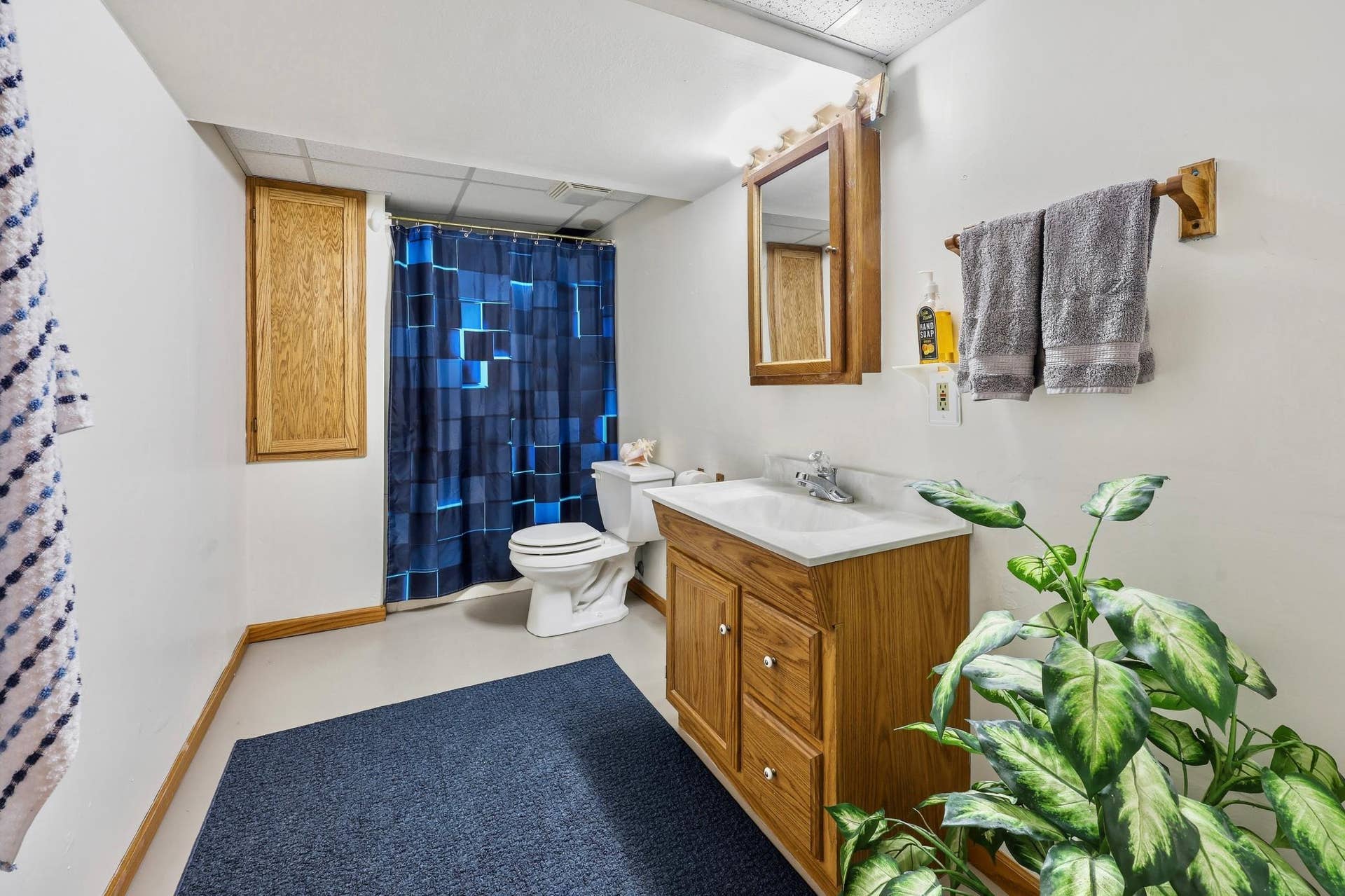 260 Westgate Drive, Winsted, MN 55395 3/4 Bath