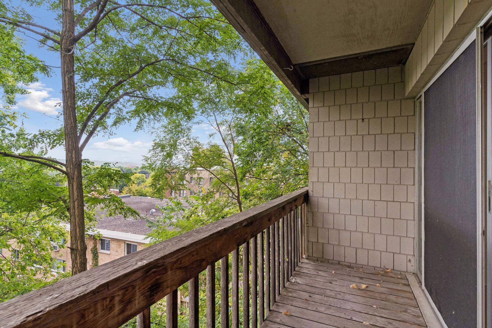 380 Ramsey Street, #10B, 100, Saint Paul, MN 55102 380 Ramsey Street 23.jpg