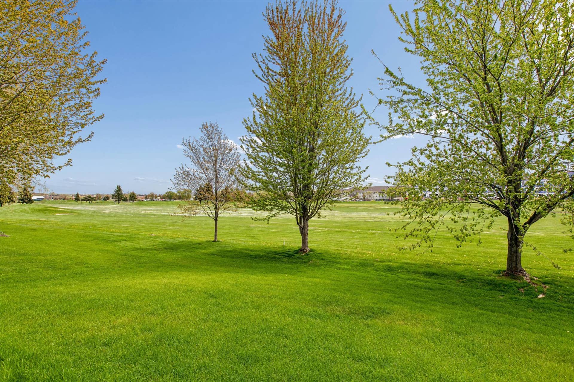 505 Holly Lane N, Oakdale, MN 55128 12th Fairway Oak Mash GC