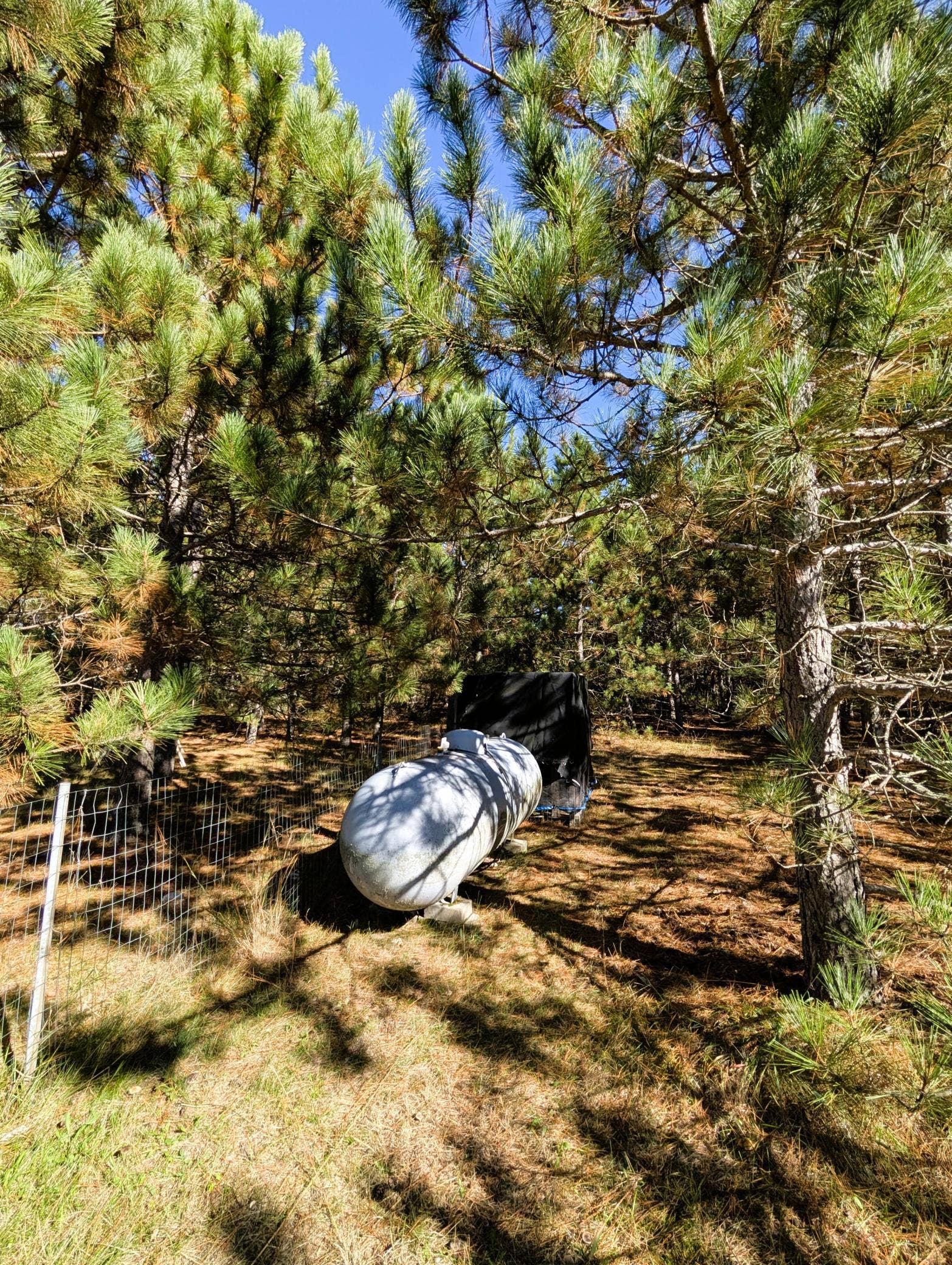 7126 Tribute Lane NW, Bemidji, MN 56601 PXL_20260930_192423826.jpg