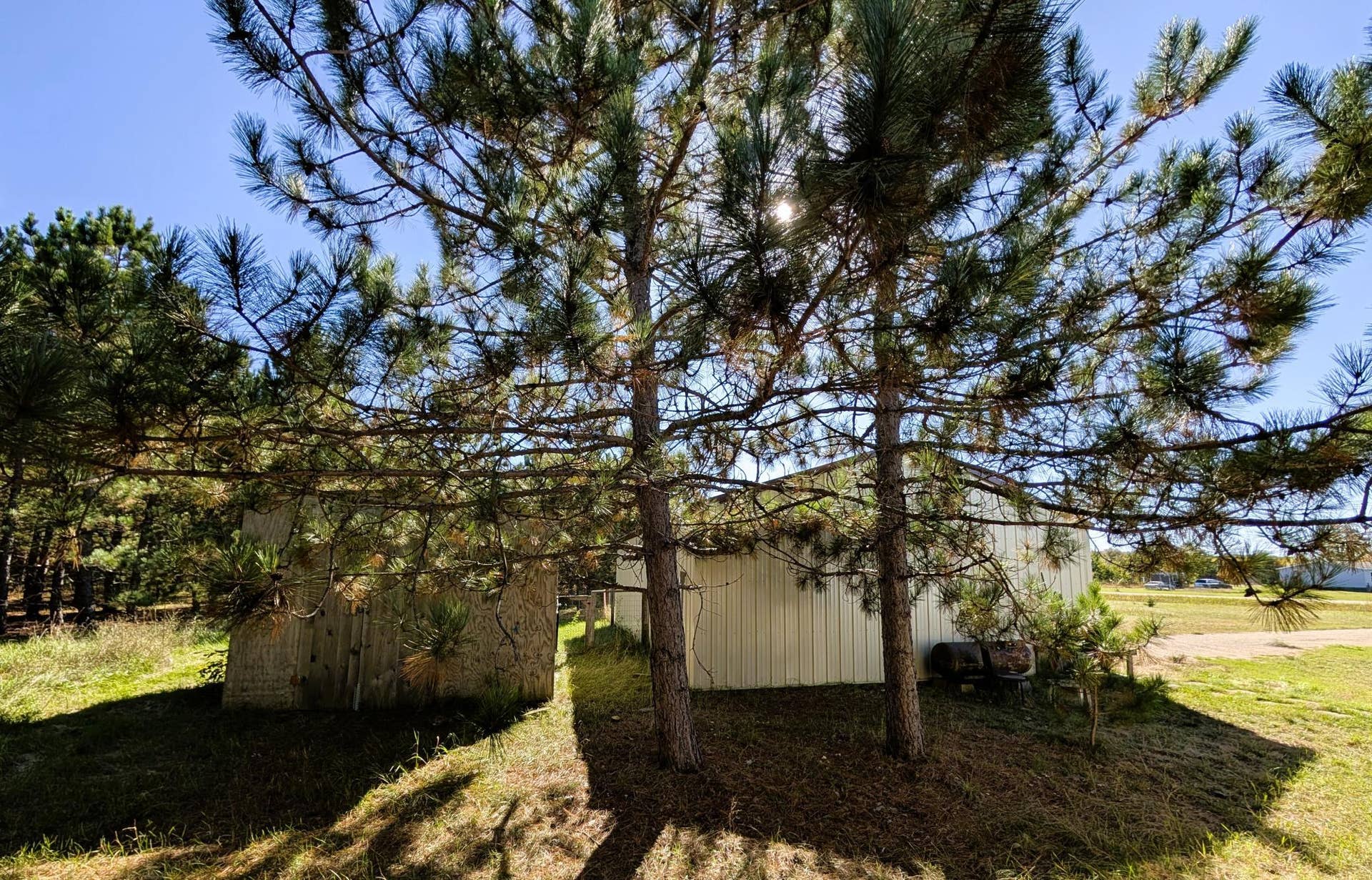 7126 Tribute Lane NW, Bemidji, MN 56601 PXL_20260930_193442895.jpg
