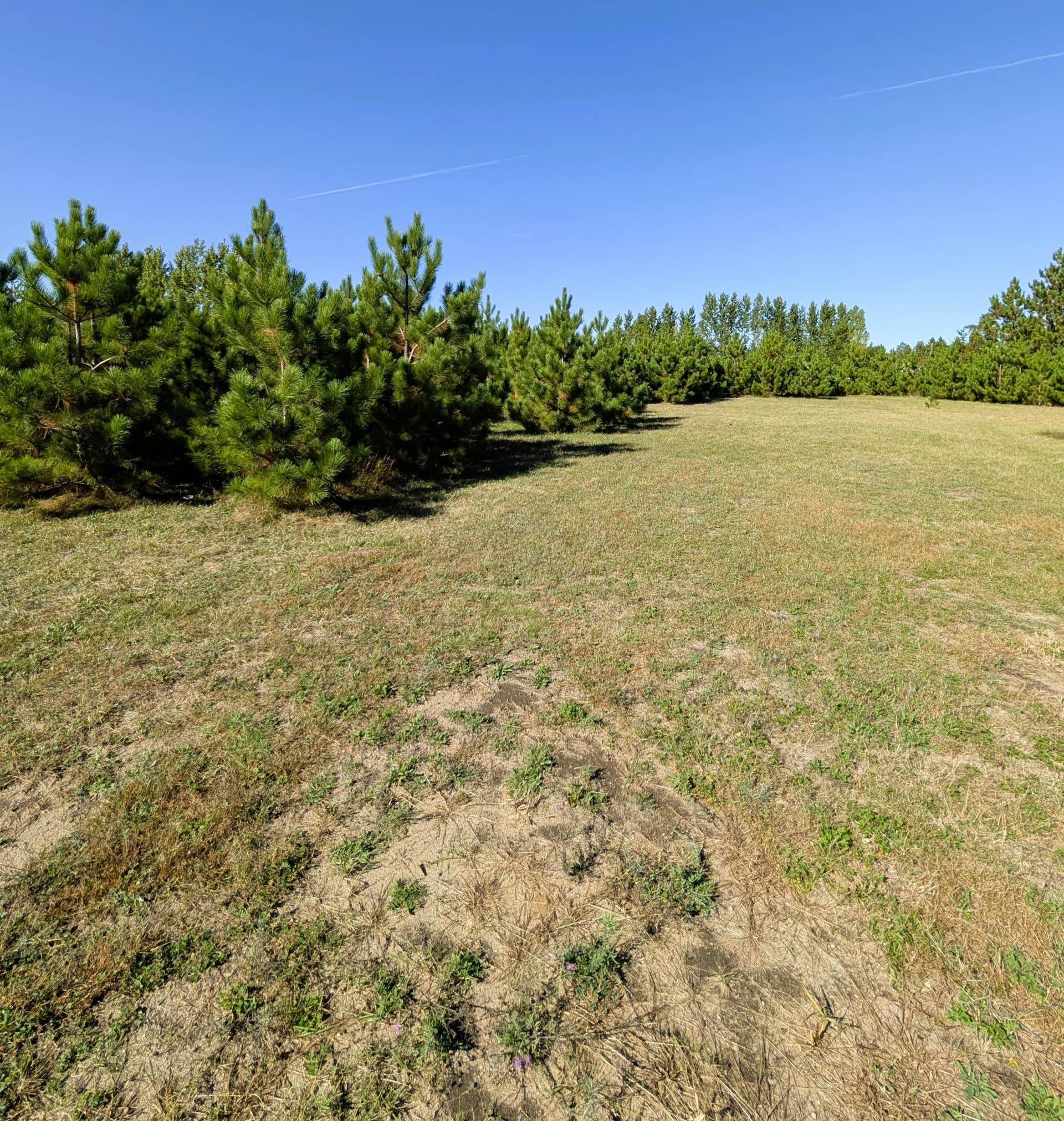 7126 Tribute Lane NW, Bemidji, MN 56601 PXL_20260930_193900463.jpg